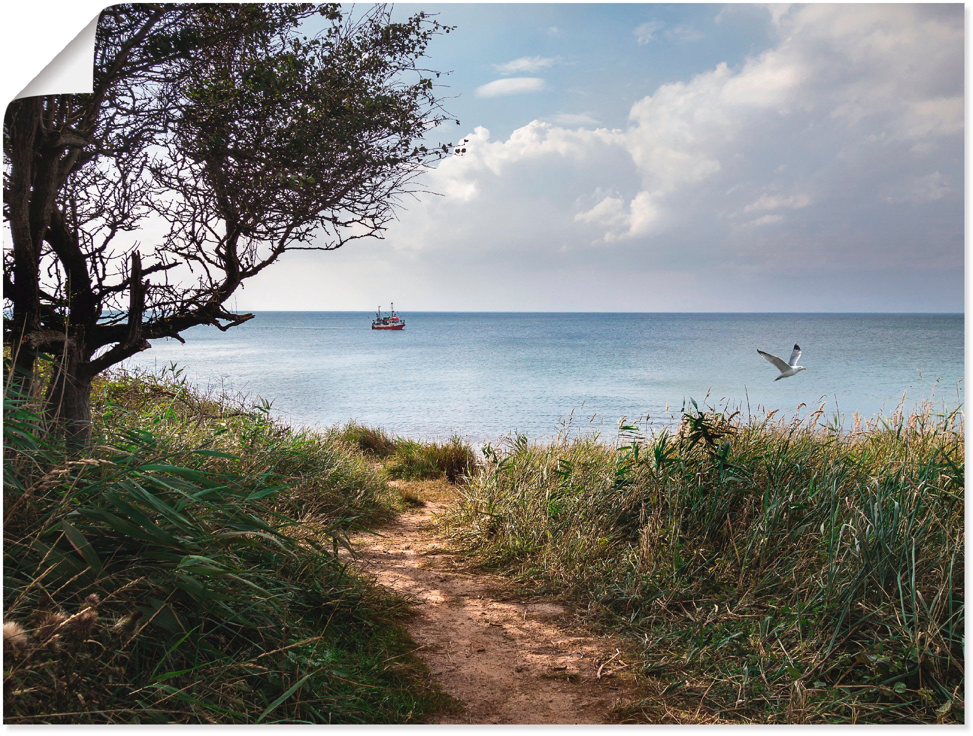Artland Poster "Wege zum Meer...." Gewässer 1 Stk. tlg. ohne Rahmen
