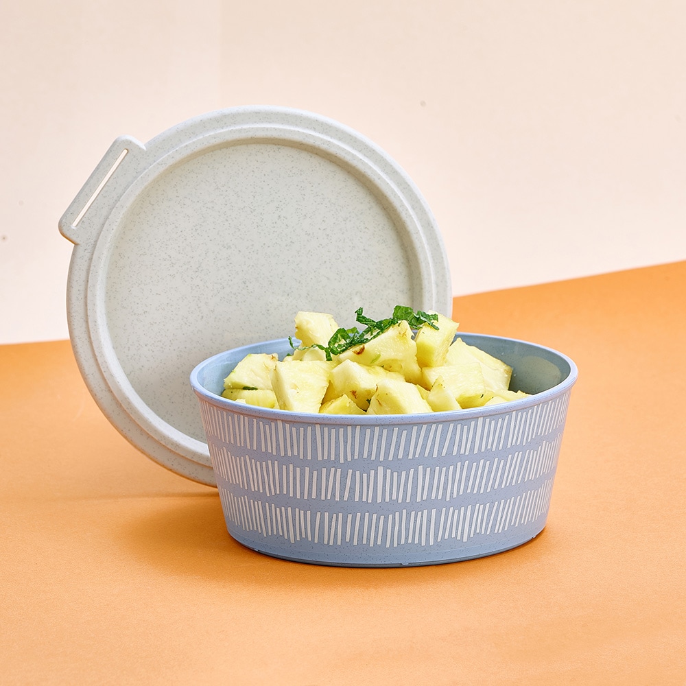 KOZIOL Aufbewahrungsschüssel »BLOMSTER BOX 1,3l LINE Schale 1,3l mit Deckel« 1 tlg.