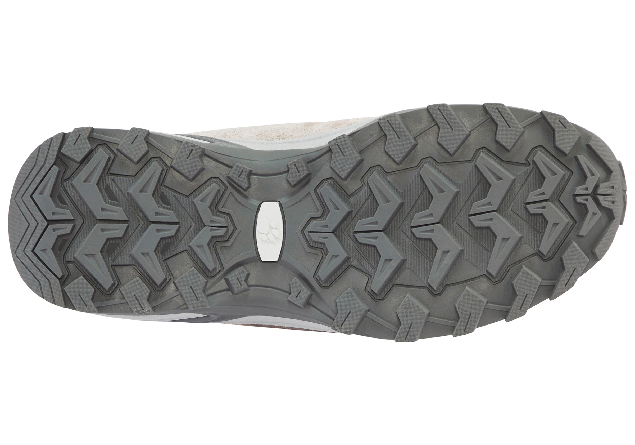Jack Wolfskin Wanderschuh »MTN GOAT LOW W«