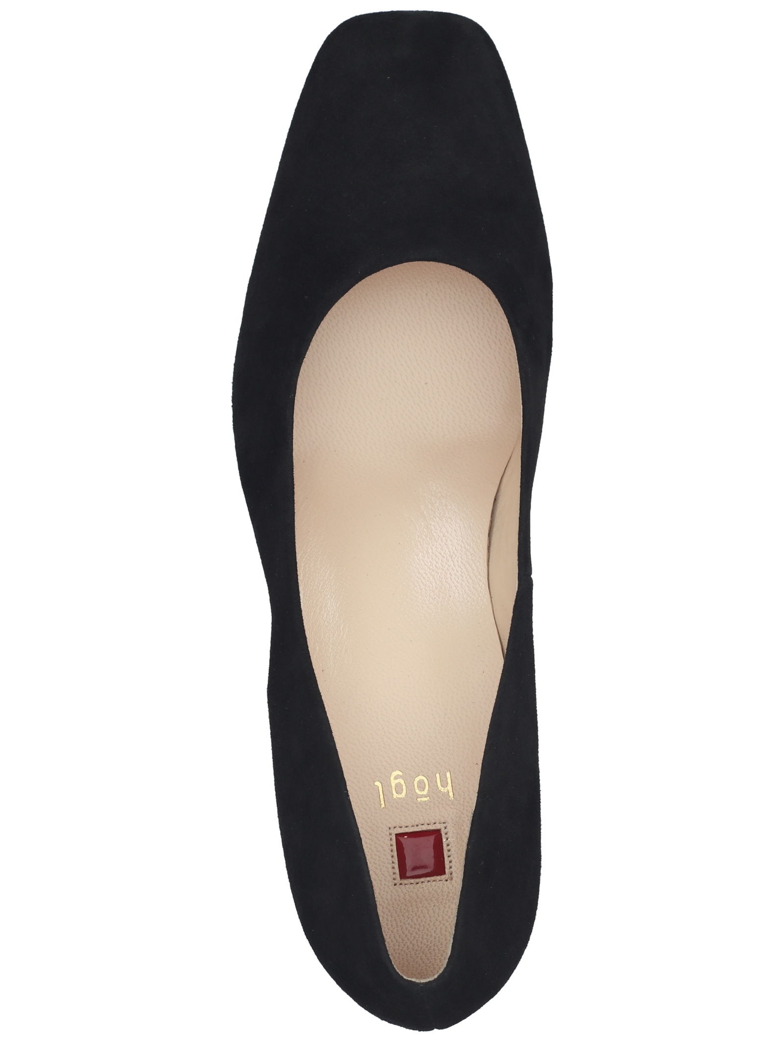 Högl Pumps »Högl Pumps Veloursleder«