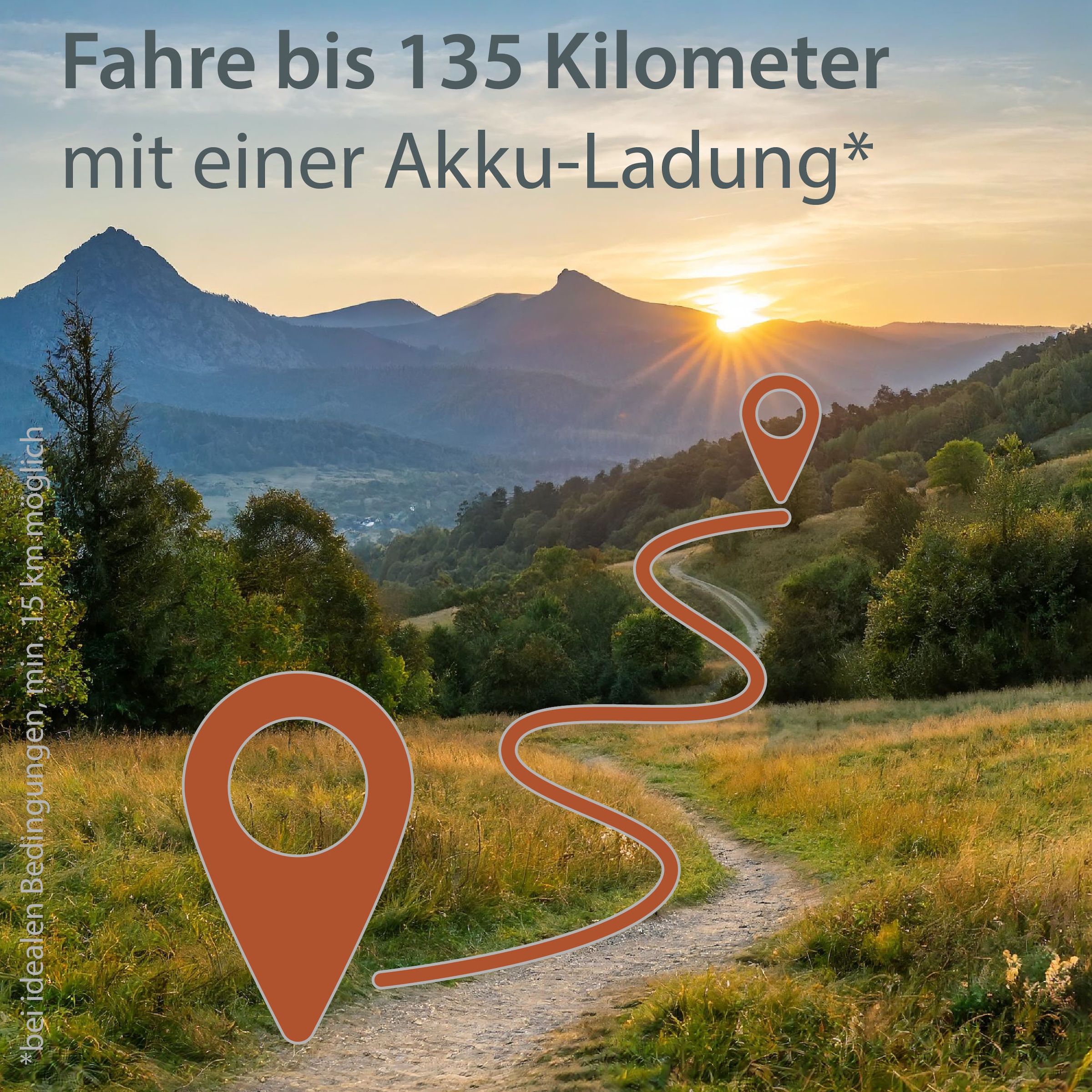 AGON E-Bike »Alpha«, 10 Gang, Deore SGS T6000, Heckmotor 250 W, Pedelec, Elektrofahrrad für Damen u. Herren, MTB