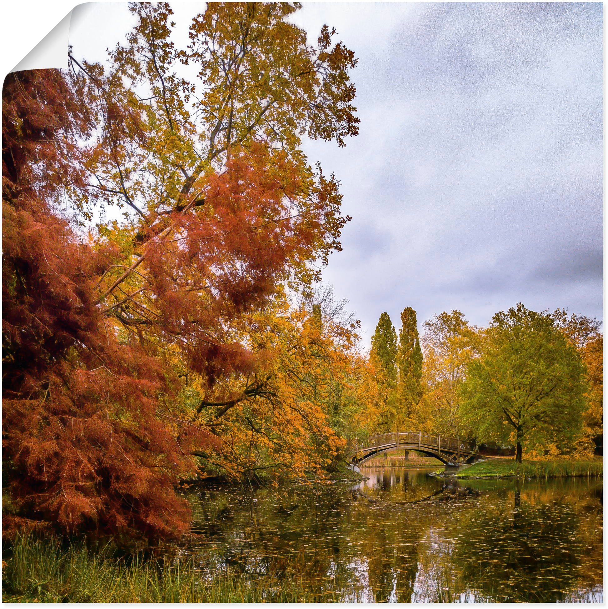 Poster »Bunter Herbst Johannapark Leipzig«, Baumbilder, (1 St.), als Alubild,...