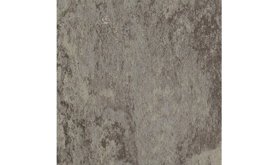 Tarkett Vinylboden »Veneto XF Linoleum Boden«, Meterware, Breite 200cm, antistatisch,... kaufen