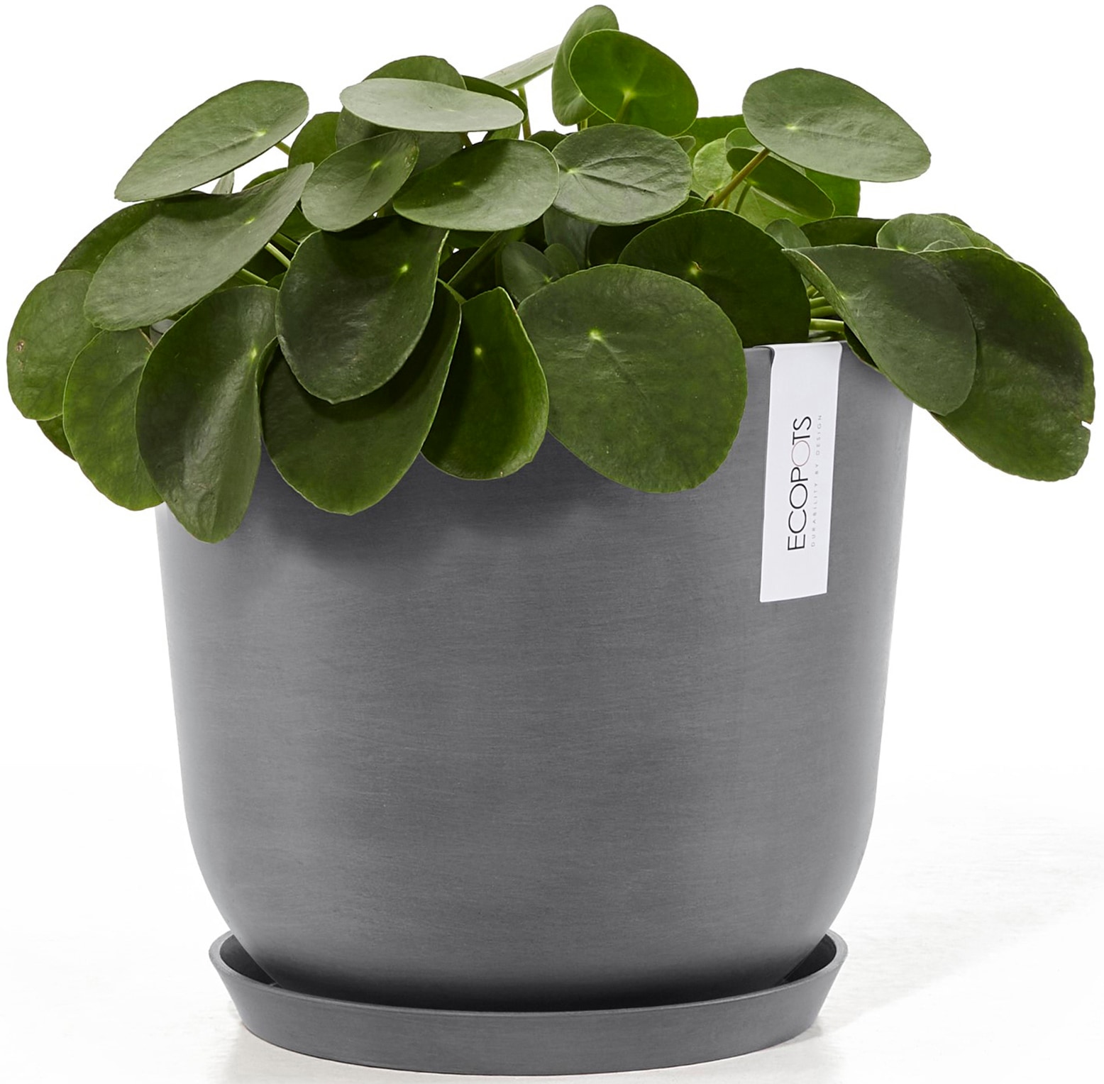 ECOPOTS Blumentopf »Oslo 25 Grau«, für innen und außen: frostsicher, bruchsicher und lichtbeständig