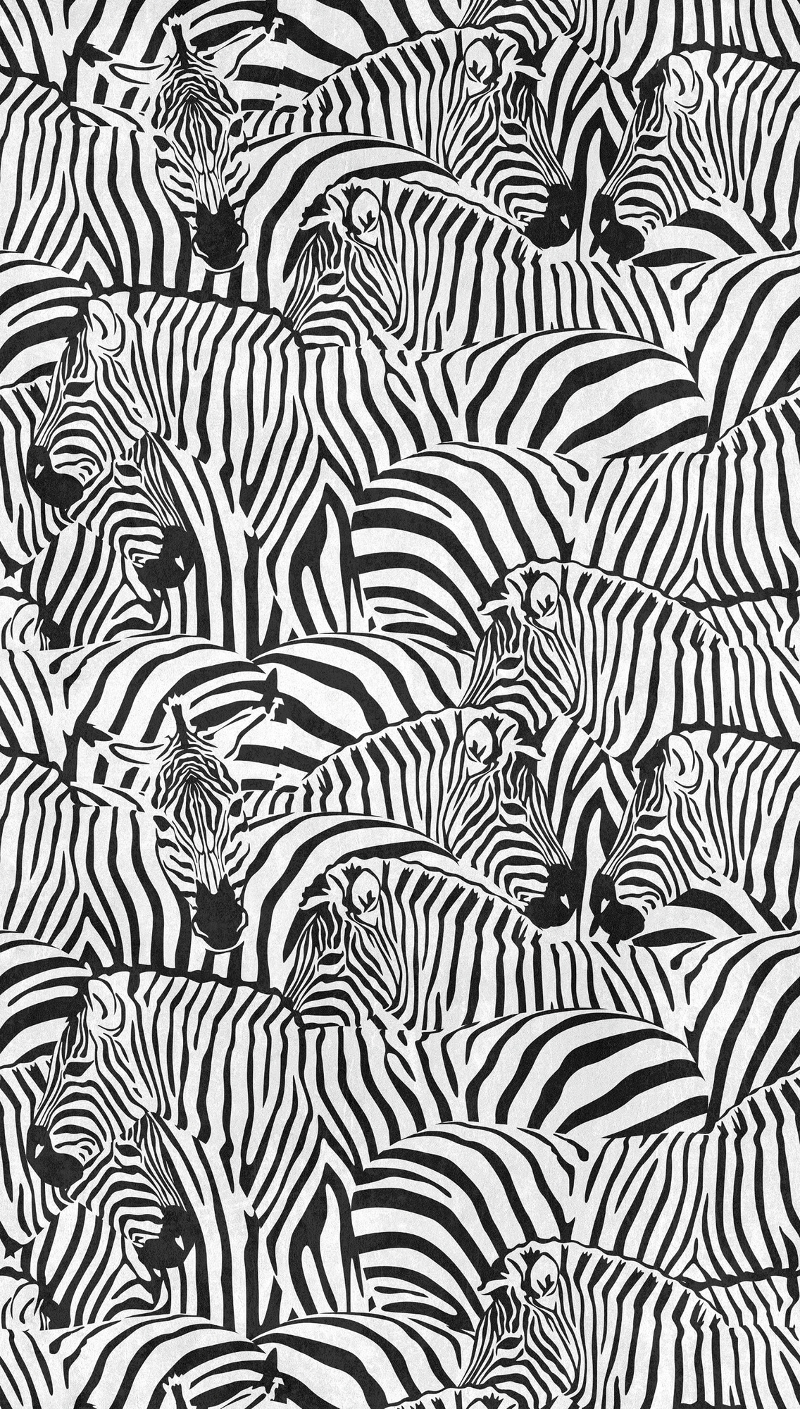 living walls Fototapete »THE WALL III Zebra Tapete Motivtapete Tiere Tiere«, matt, Vliestapete Tiere für Schlafzimmer Küche Wohnzimmer Zebra Design Flur