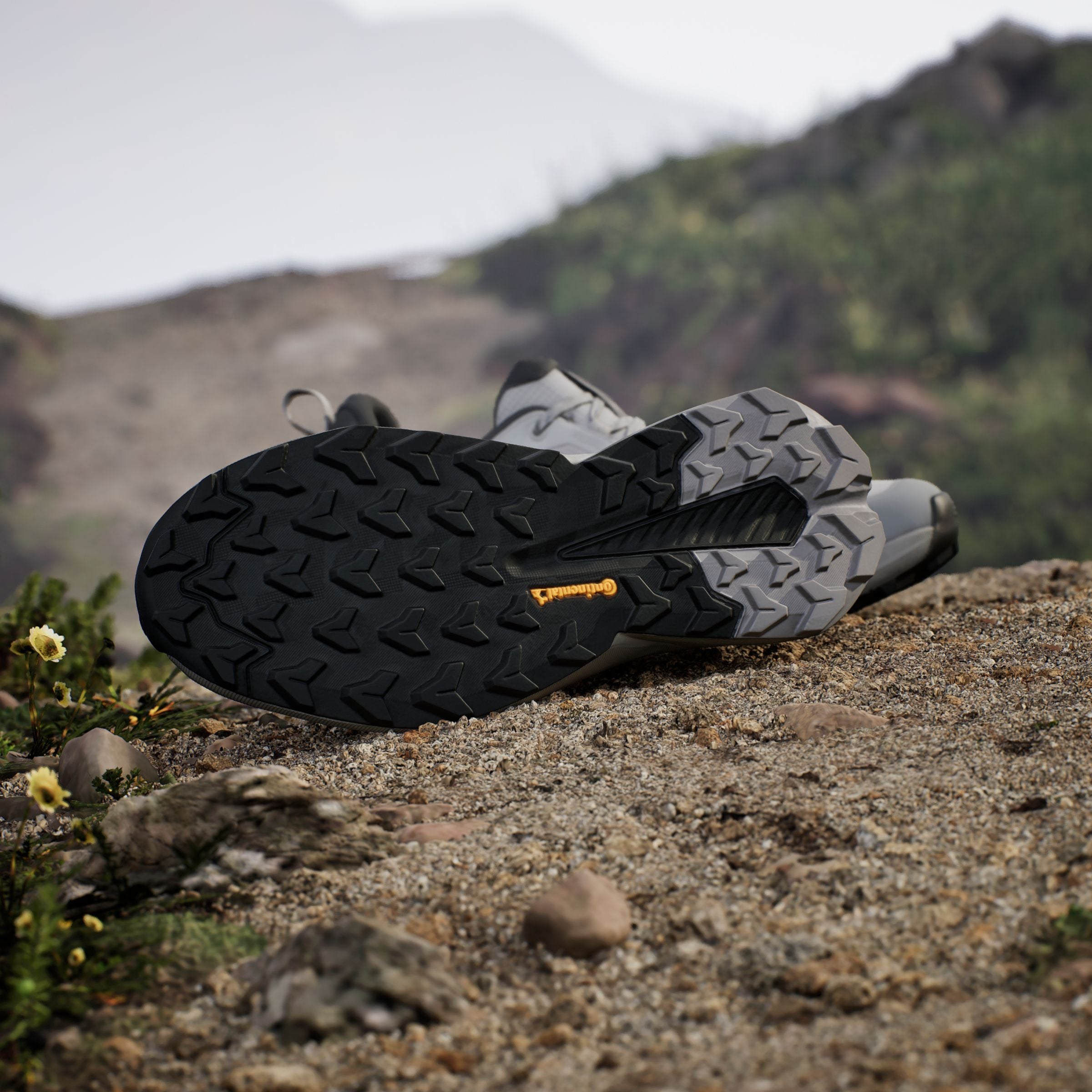 adidas TERREX Wanderschuh »TRAILMAKER 2 GORE-TEX«, wasserdicht