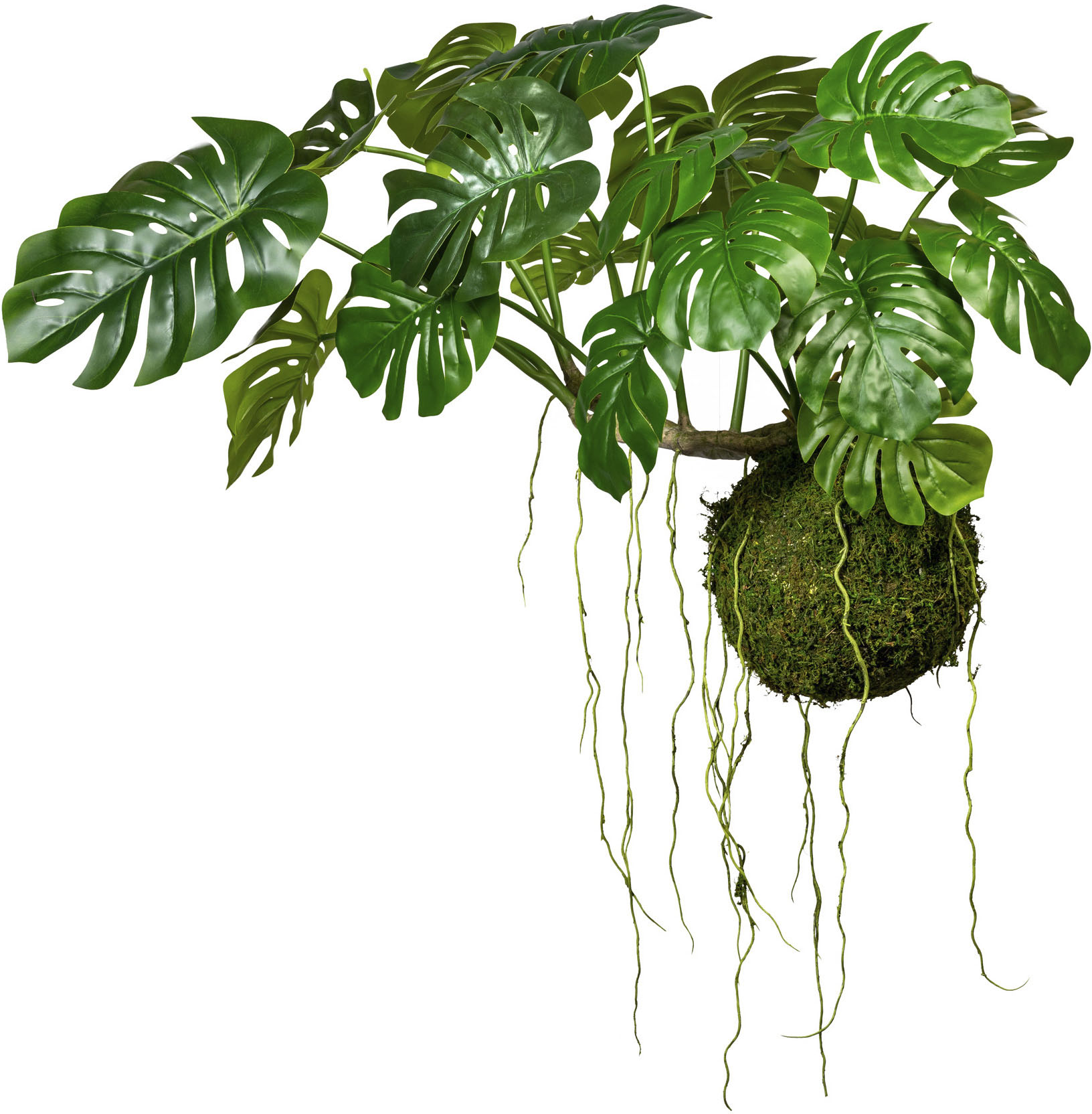 Creativ green Kunstpflanze "Splitphilodendron" Pflanze als Hänger auf Wurzel mit Farnzweigen und Luftwurzeln