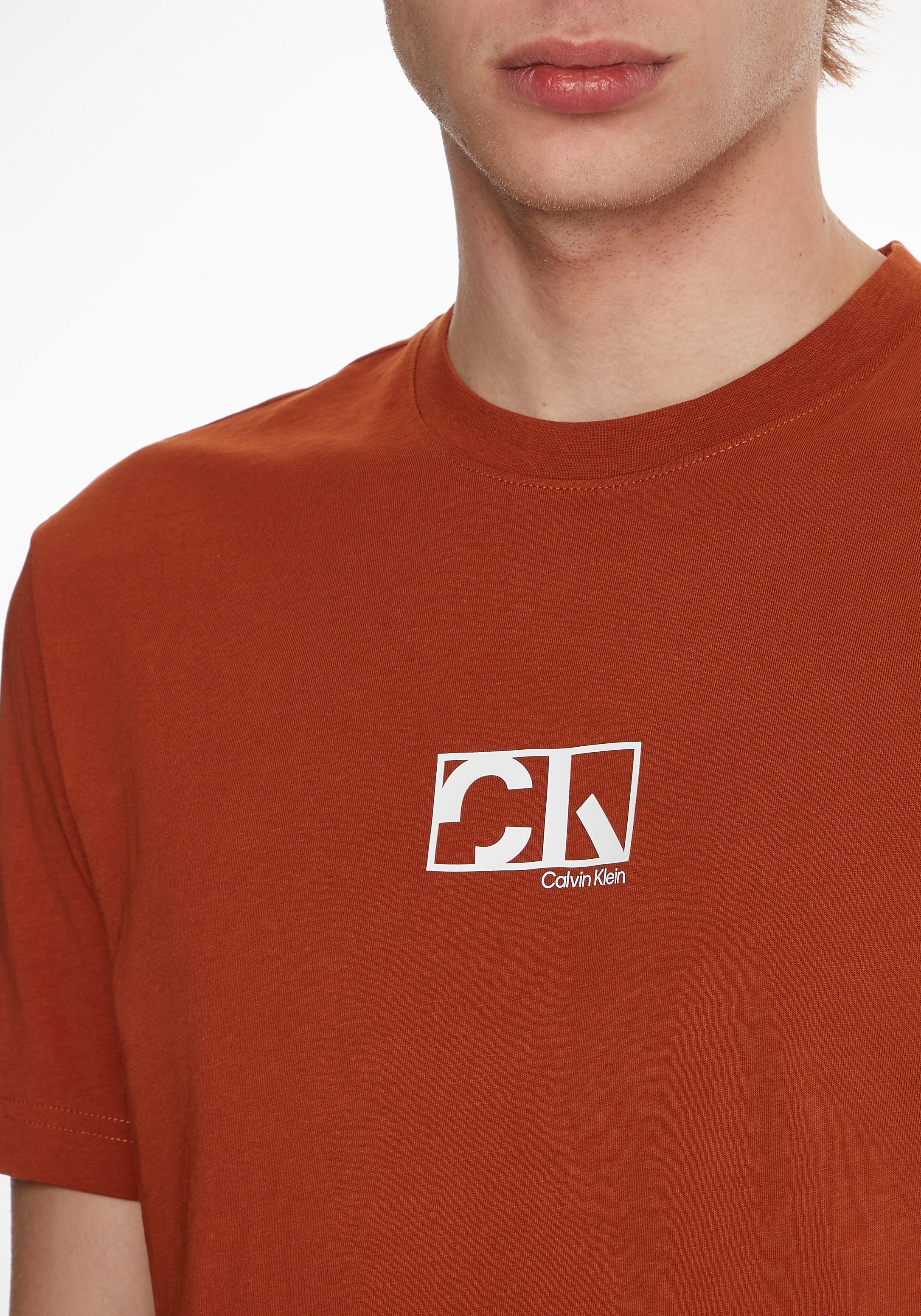 Calvin Klein T-Shirt »GRAPHIC BOX LOGO T-SHIRT«