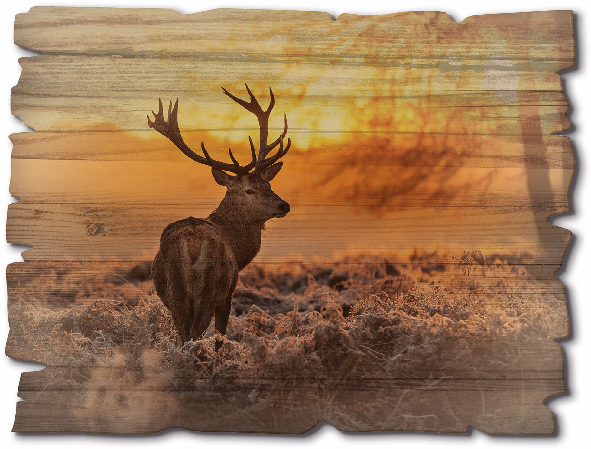 Artland Holzbild "Rotwild" Hirschbilder 1 Stk. tlg. günstig online kaufen
