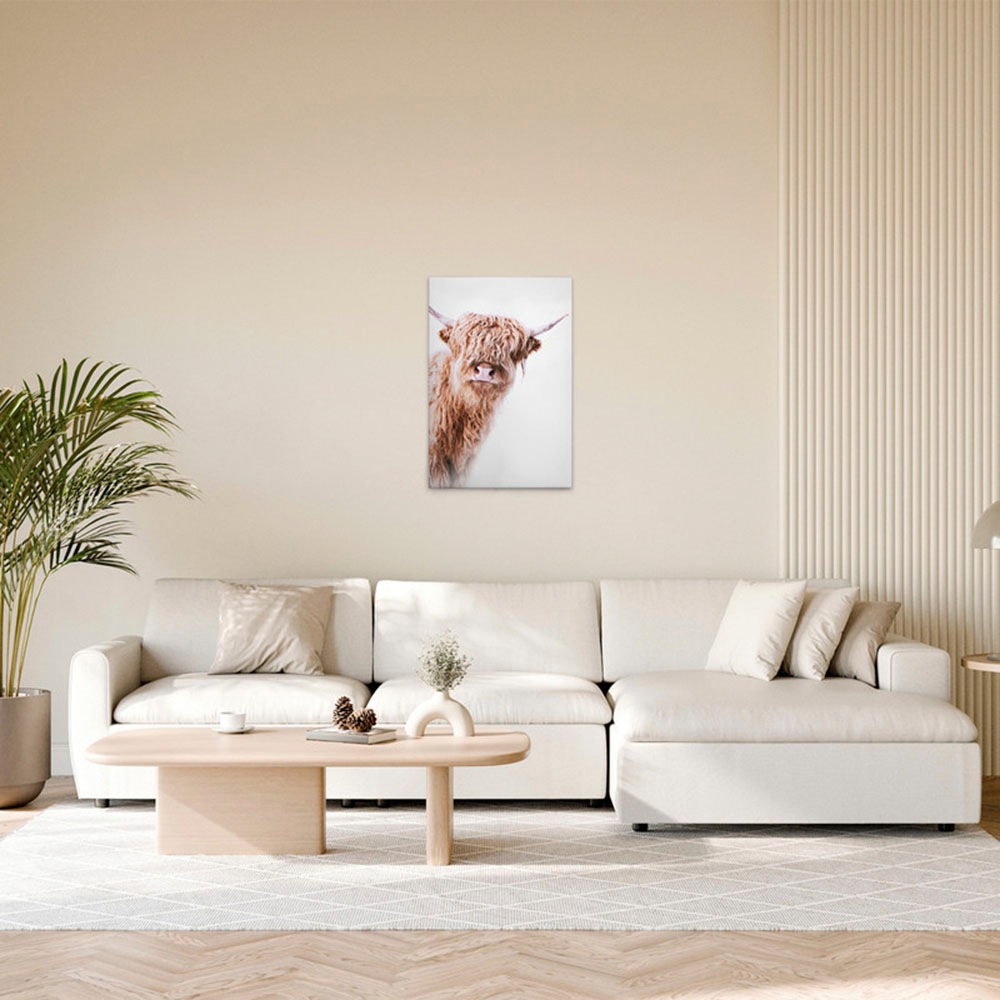 A.S. Création Leinwandbild "Highland Cattle 2 - Wandbild Weiß Braun Keilrah günstig online kaufen