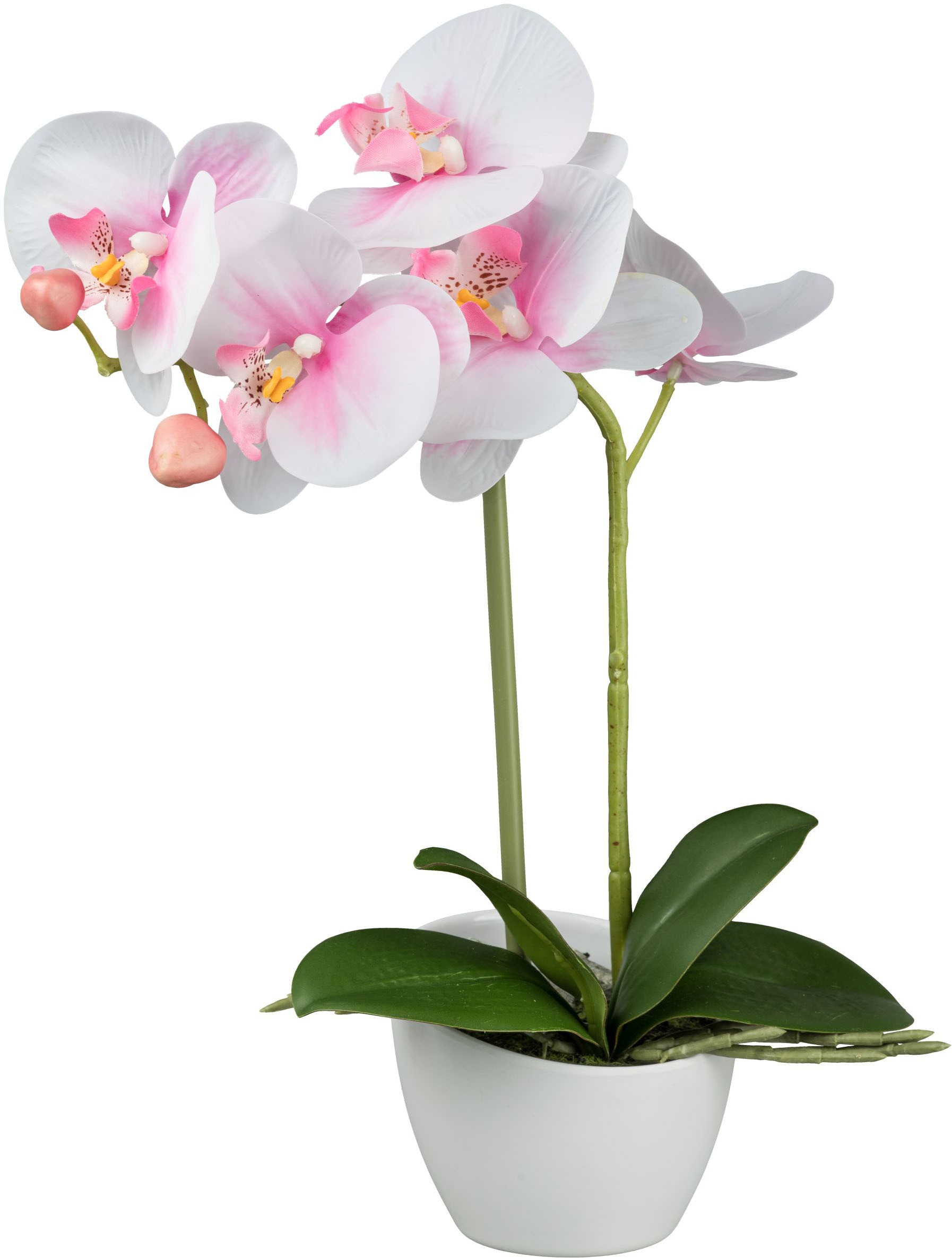 Creativ green Kunstorchidee »Orchidee Phalaenopsis«, im weißen Design-Topf