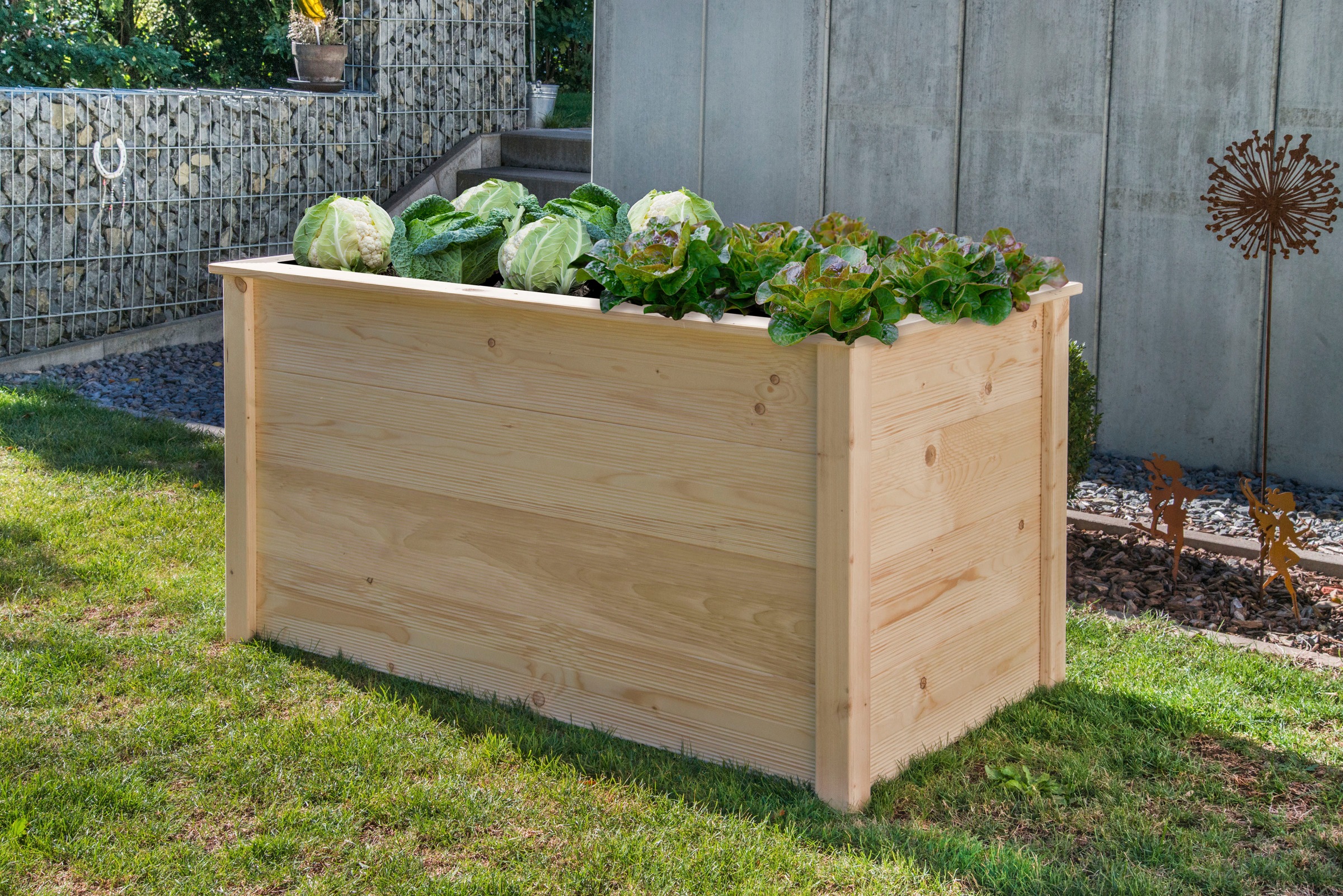 BM Massivholz Hochbeet "Douglasie" BxTxH: 150x80x78 cm, naturbelassen günstig online kaufen