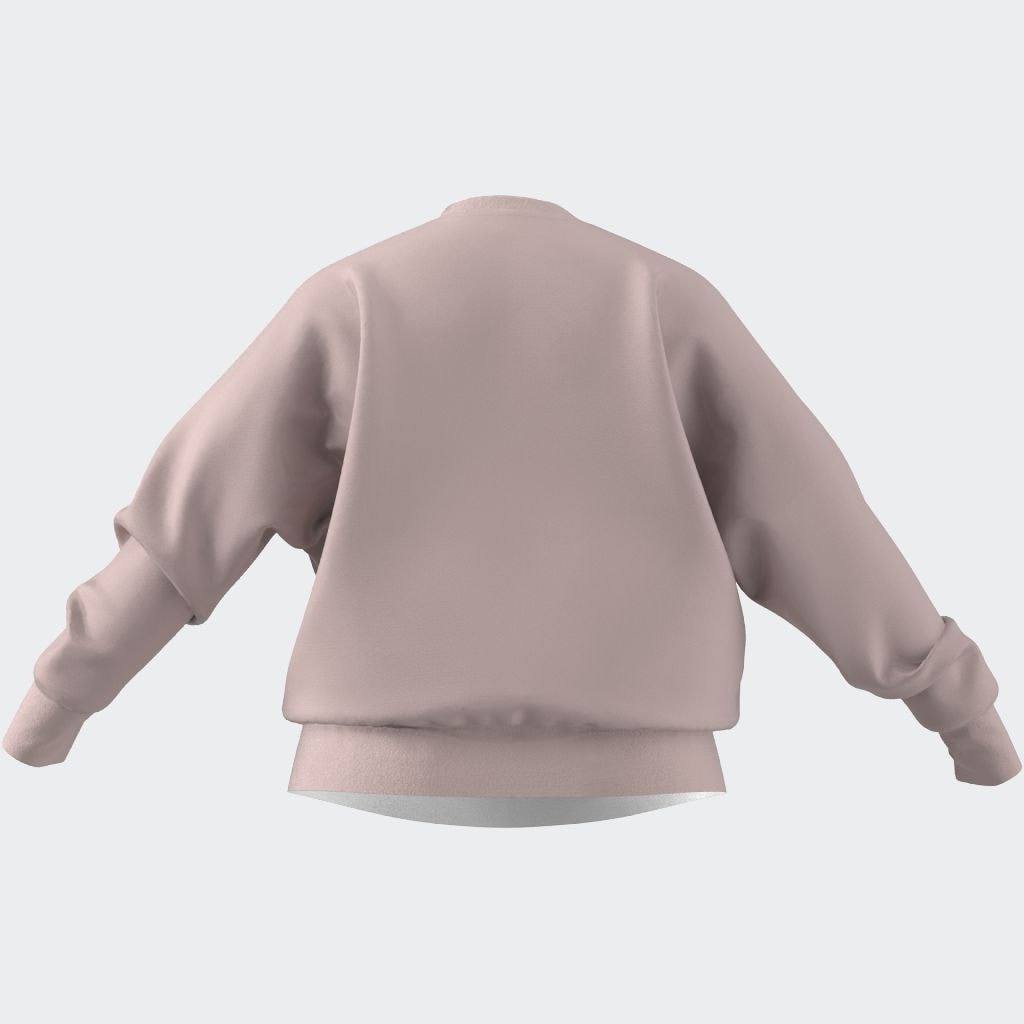 adidas Sportswear Sweatshirt »W SL FC SWT IN«
