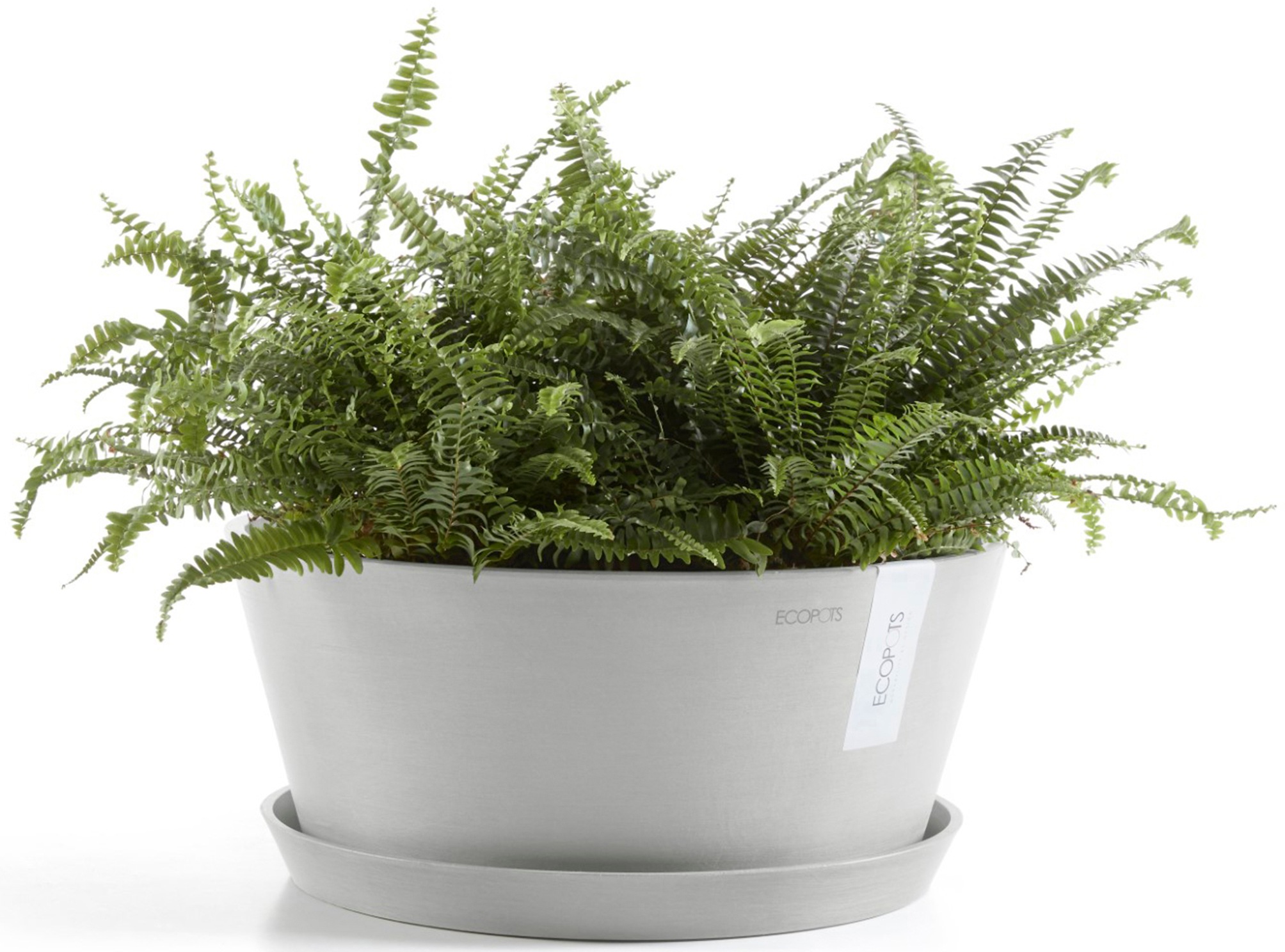 ECOPOTS Blumentopf »Frankfurt 30 Weißgrau«, für innen und außen: frostsicher, bruchsicher und lichtbeständig