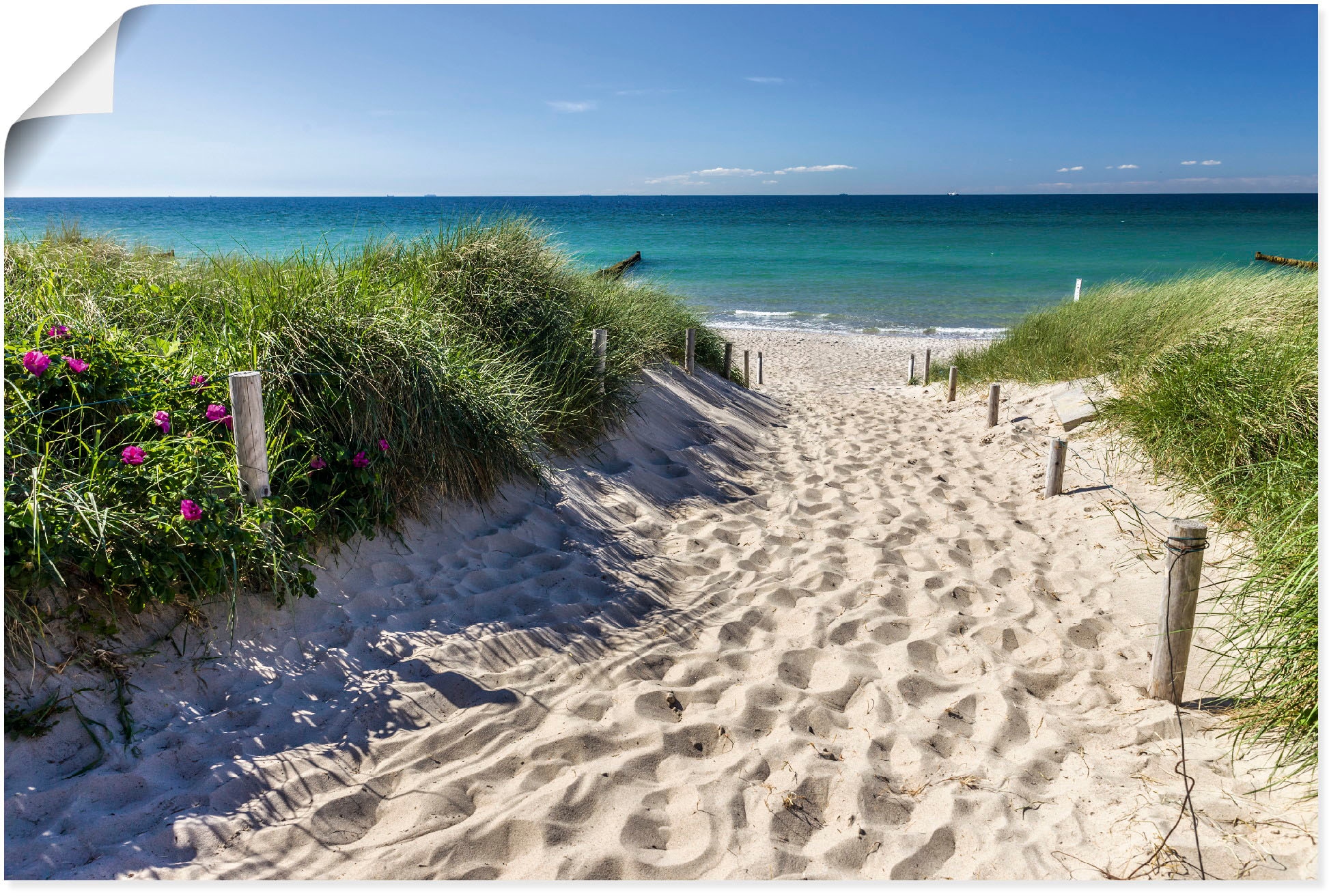 Artland Wandbild "Weg zum Strand an der Ostsee" Strandbilder 1 Stk. tlg. als Alubild, Leinwandbild, Poster in verschied. Größen