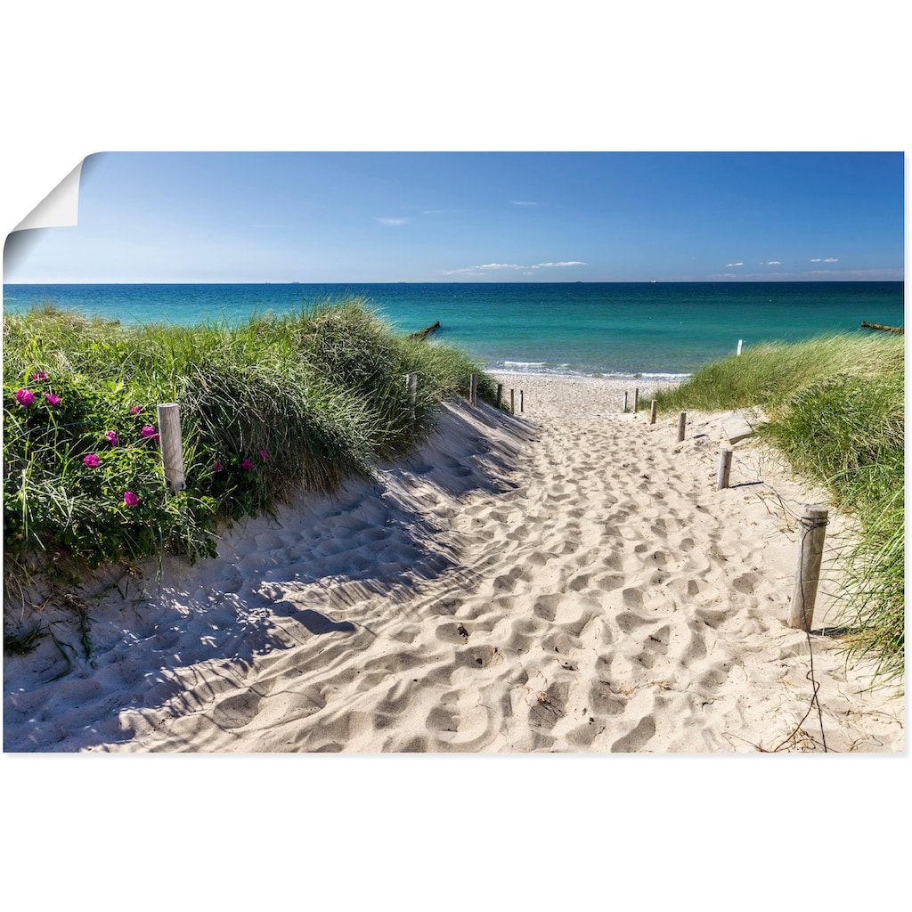 Artland Wandbild »Weg zum Strand an der Ostsee«, Strandbilder, (1 St.)