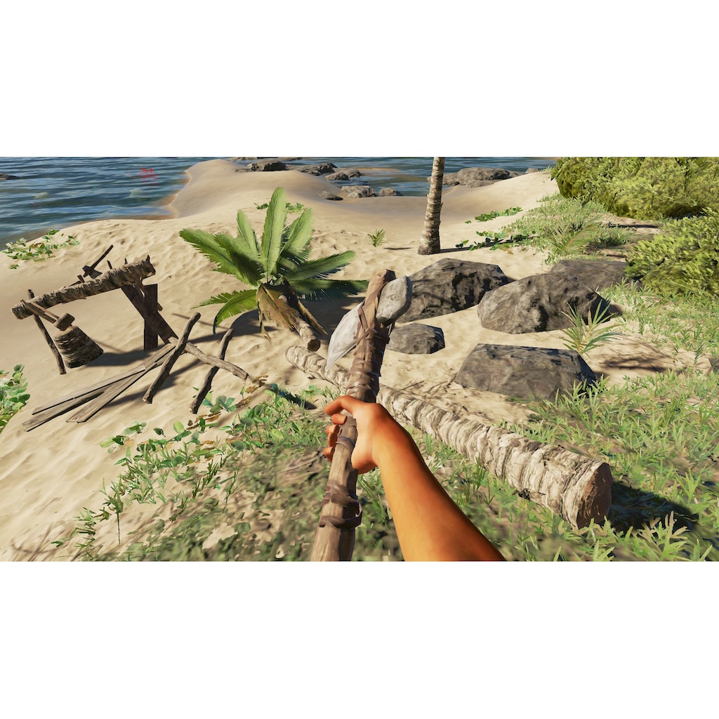 Spielesoftware »Stranded Deep«, Nintendo Switch