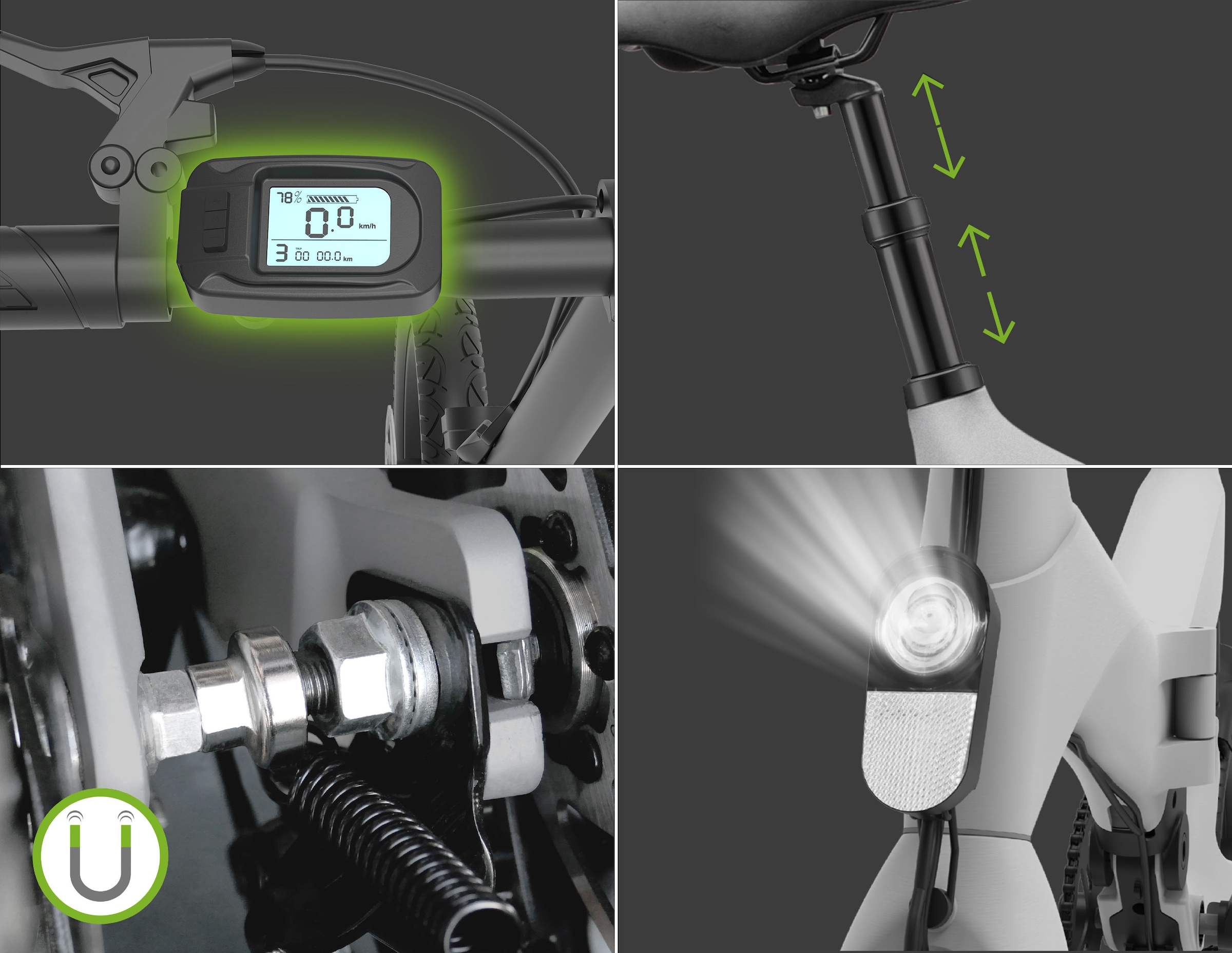 SachsenRad »F12« 1 Gang Shimano keine Schaltwerk ohne Schaltung Heckmotor 250 W LCD-Steuerdisplay, Fahrmodus Pedelec, 
LED-Frontlicht, LED Rücklicht