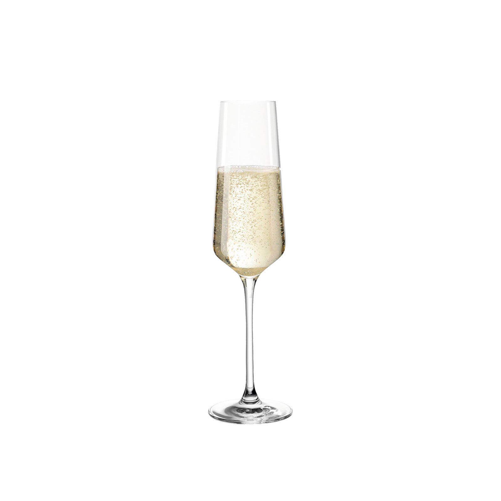 LEONARDO Sektglas »Sektgläser Puccini 280 ml 6er Set transparent«