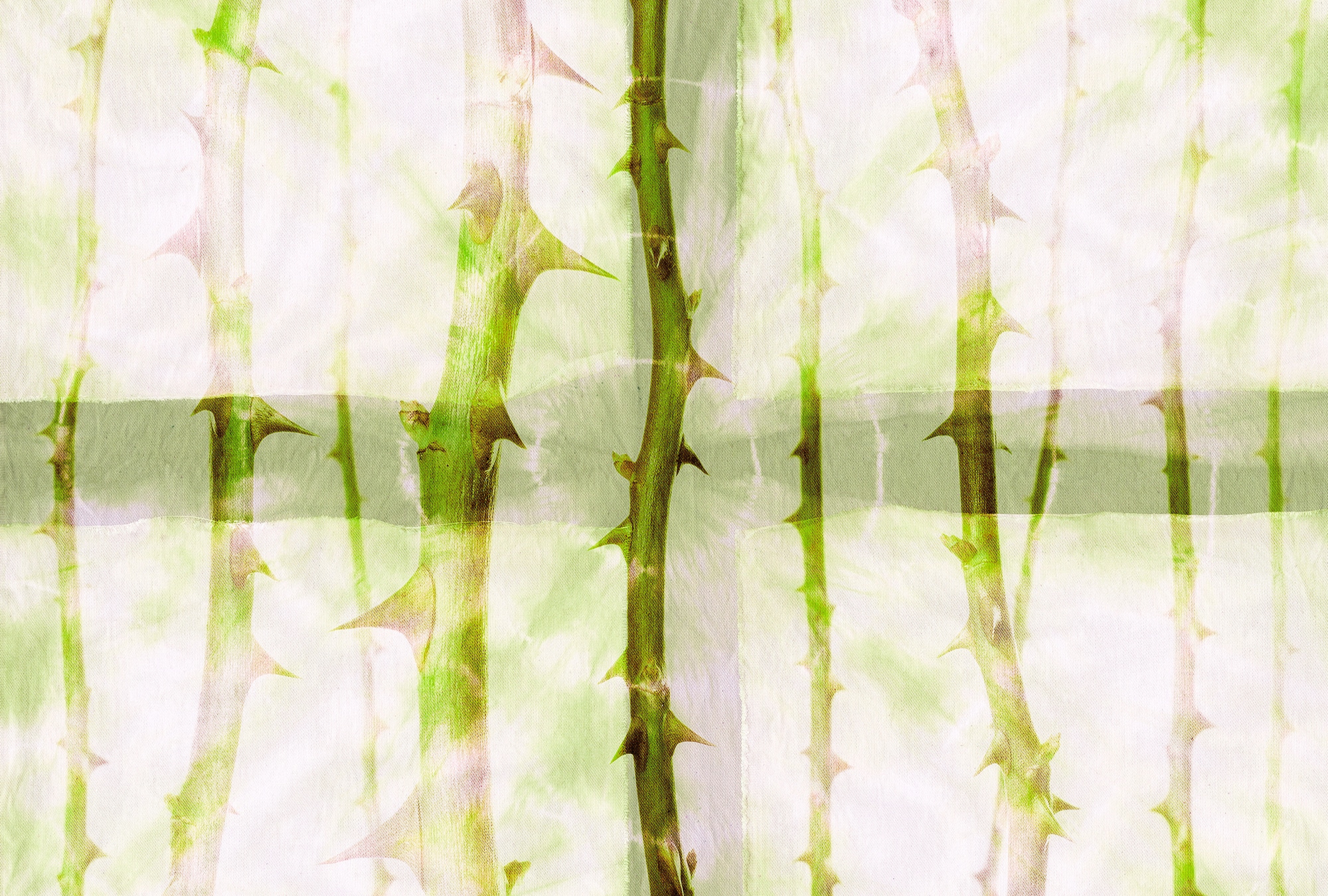 Architects Paper Fototapete "Atelier 47 Thorn Art 2" floral glatt Vlies, Wand, Schräge, Decke