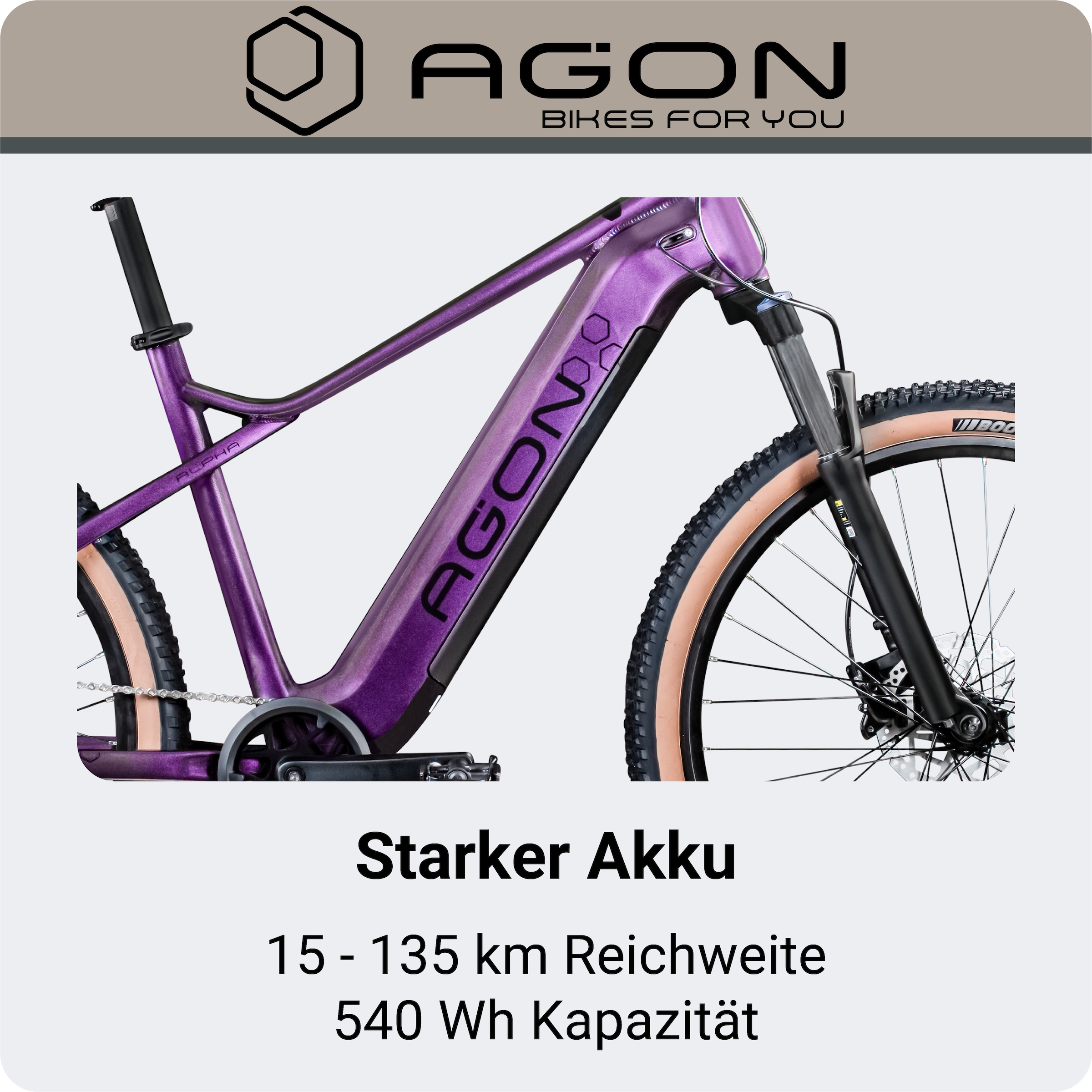 AGON »Alpha« 10 Gang Deore SGS T6000 Schaltwerk Kettenschaltung Heckmotor 250 W Pedelec, Elektrofahrrad für Damen u. Herren, MTB