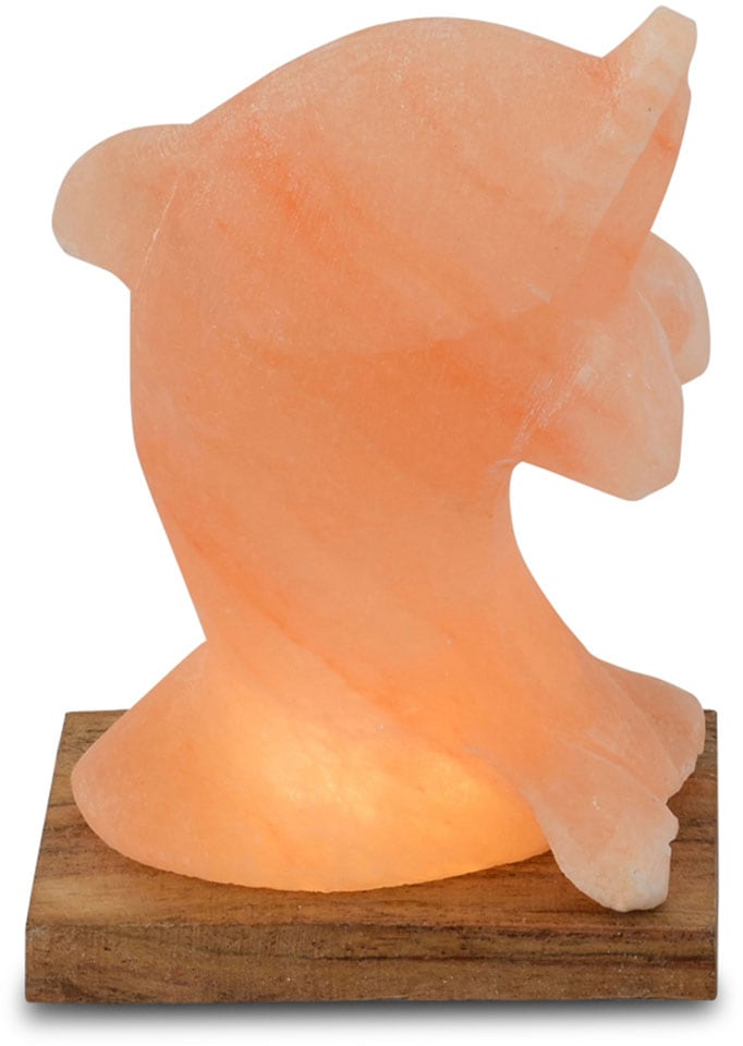 Salzkristall-Tischlampe »Delfin«, Handgefertigt aus Salzkristall - jeder Stein ein...