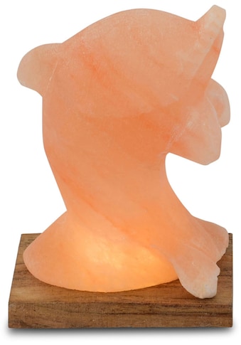 Salzkristall-Tischlampe »Delfin«