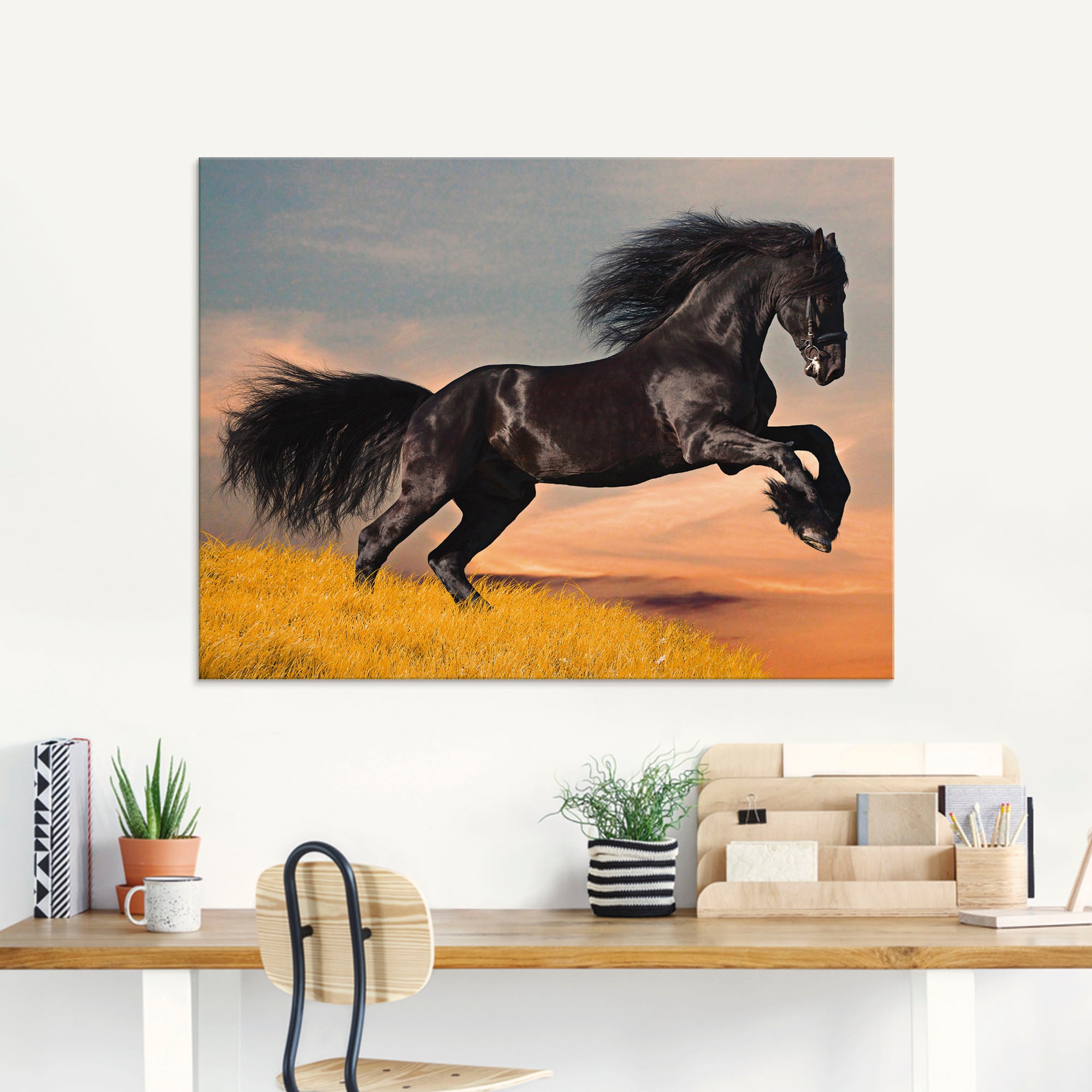Artland Glasbild "Friesischer Hengstgalopp" Haustiere 1 Stk. tlg. in versch günstig online kaufen