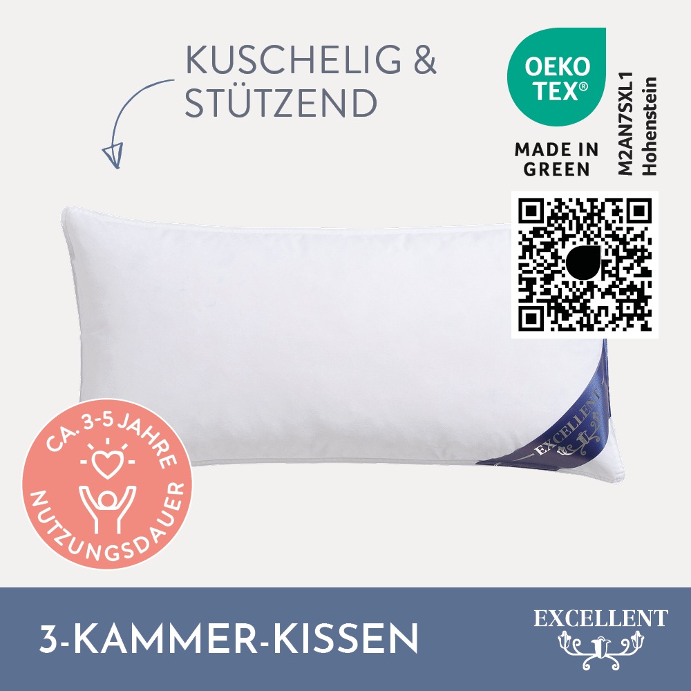 Excellent Federkissen "Davos" Füllung: 85Gaensefedern15Gaensedaunen 1 Stk. günstig online kaufen