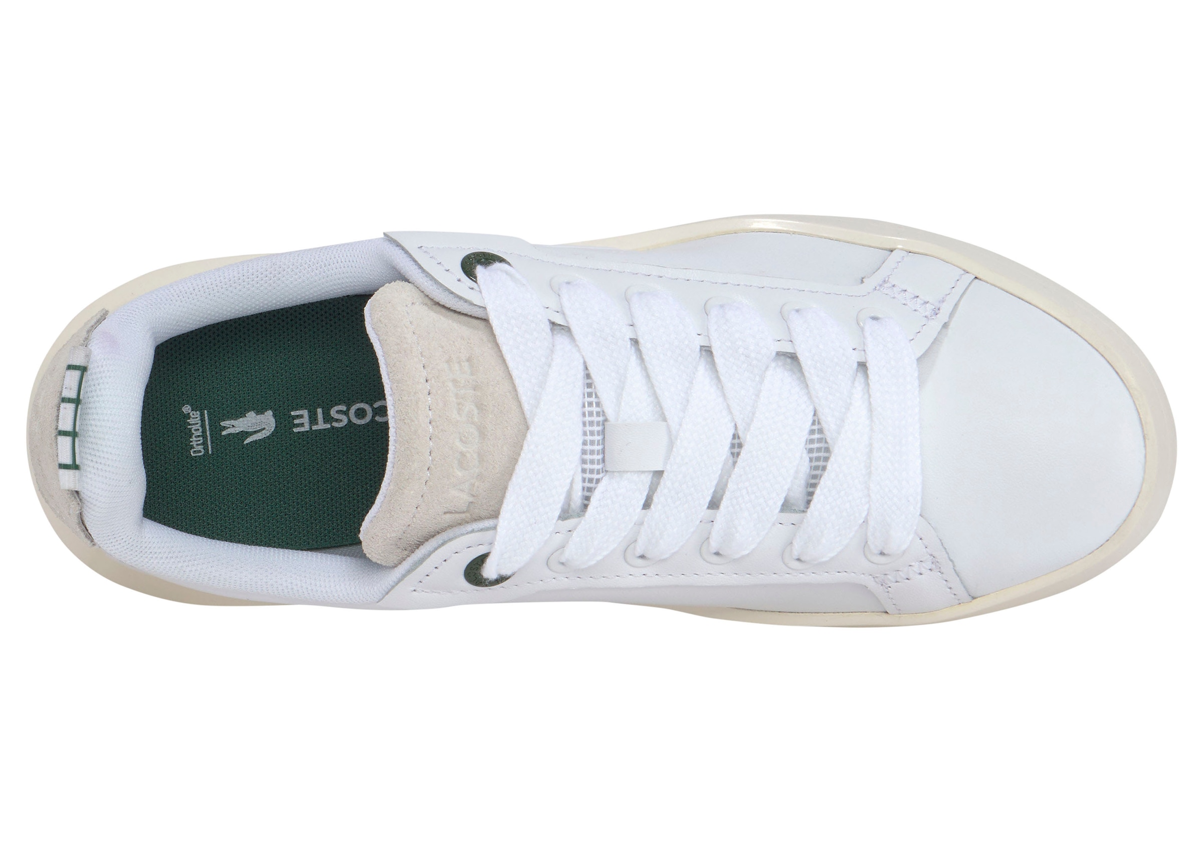 Lacoste Sneaker »CARNABY PLAT 123 1 SFA«