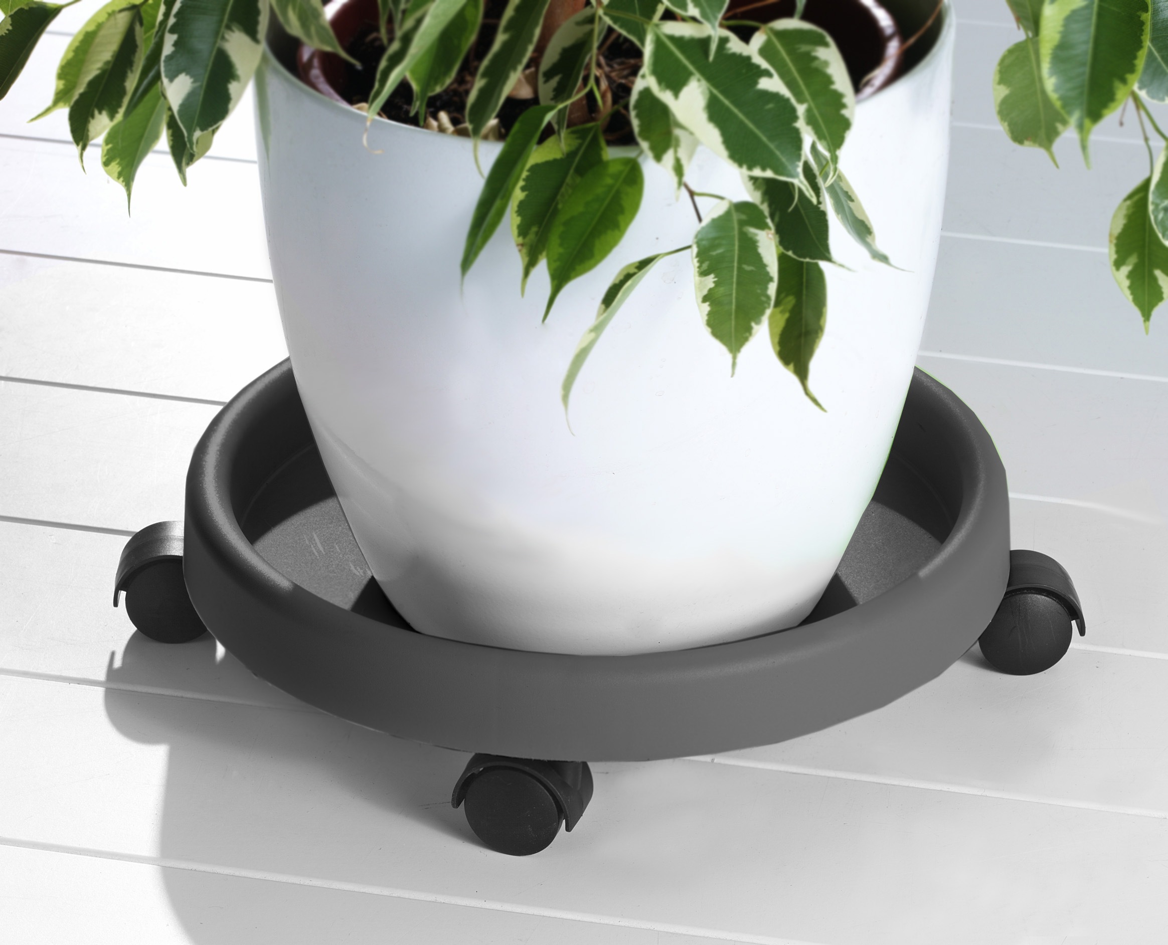 Ruco Blumentopfuntersetzer Kunststoff, Ø 34 cm günstig online kaufen