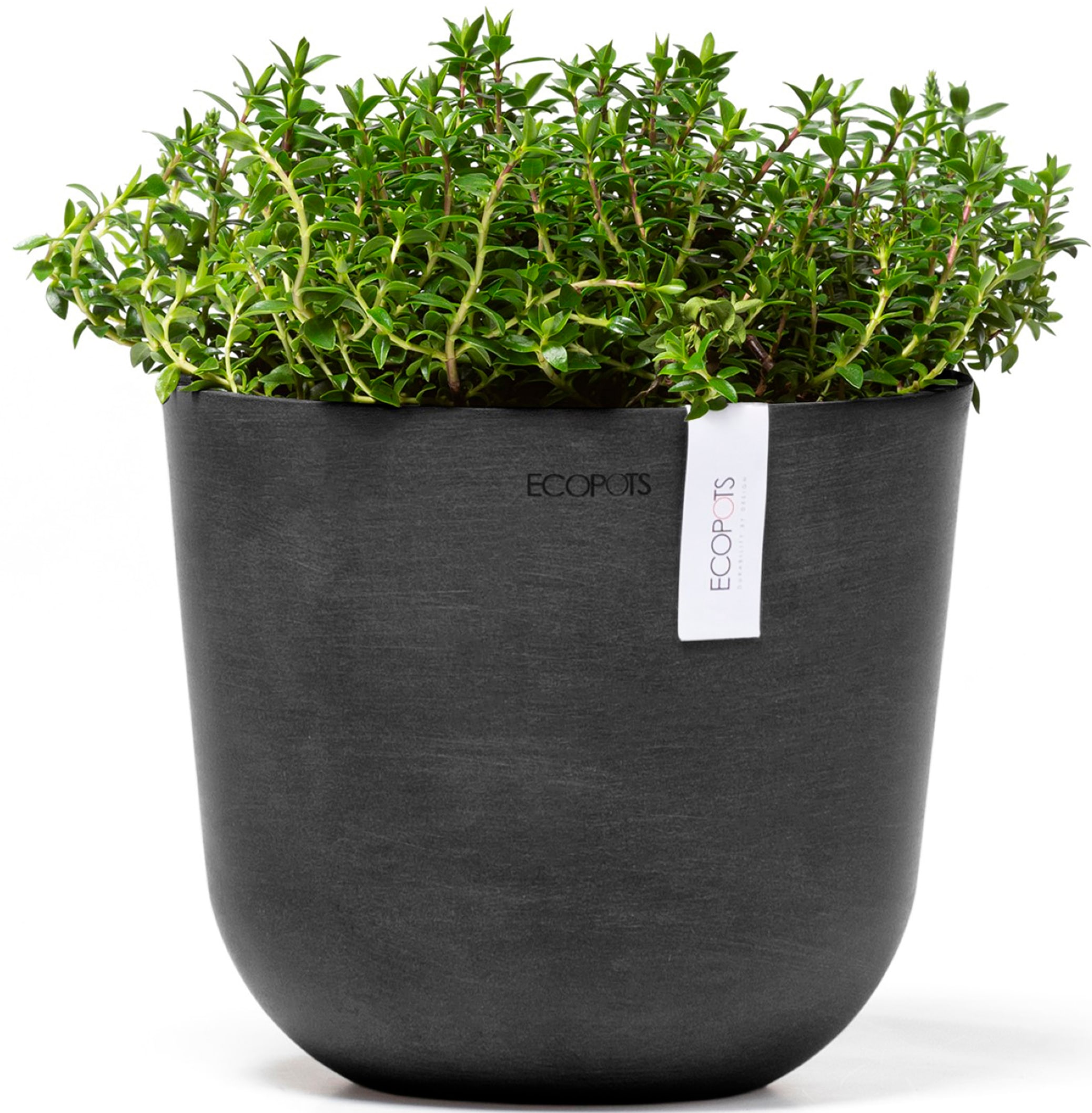 ECOPOTS Blumentopf "Oslo Mini 19 Dunkelgrau", für den Innenbereich günstig online kaufen