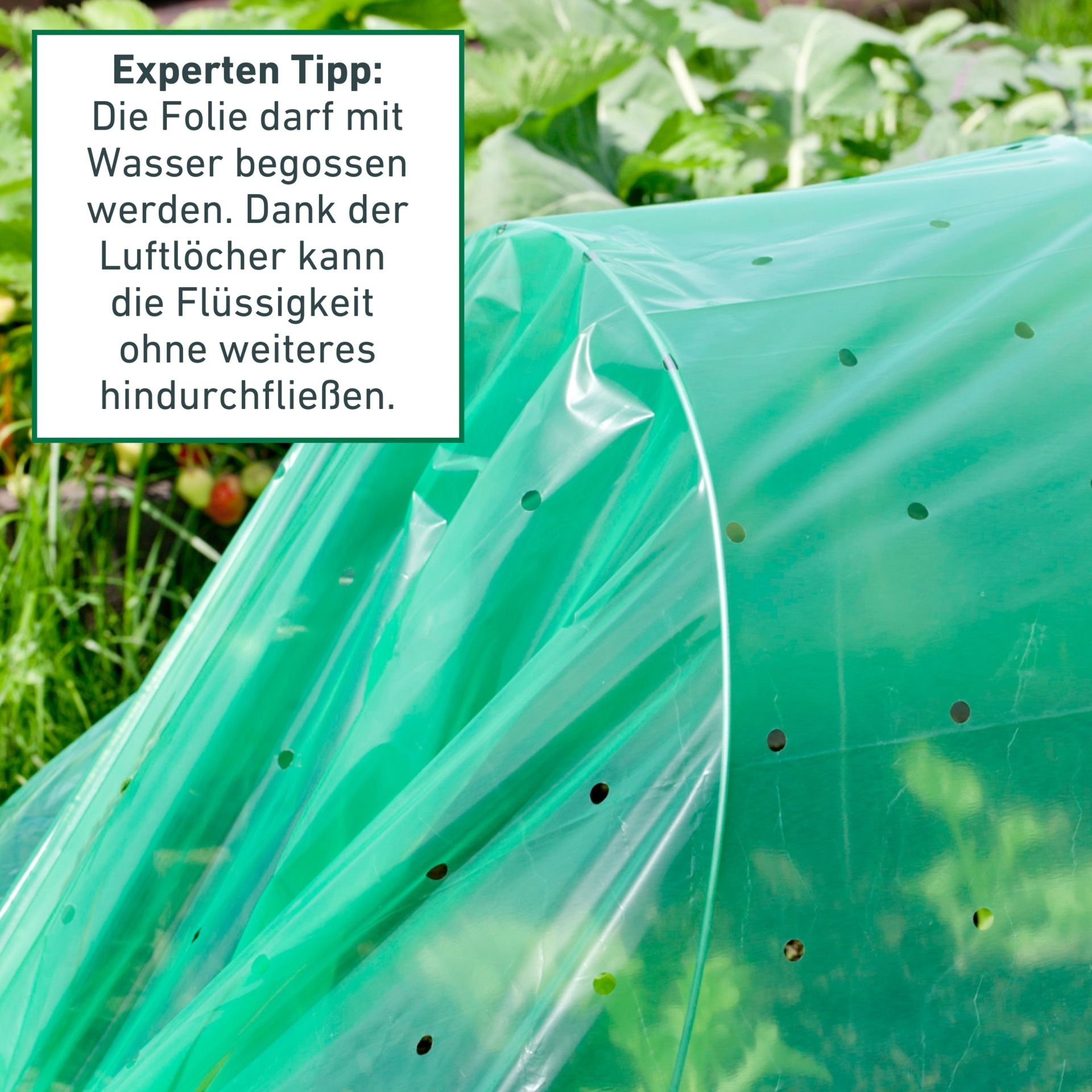 Windhager Pflanztunnel Frühbeetfolie mit 4 Tunnelbügeln aus Metall