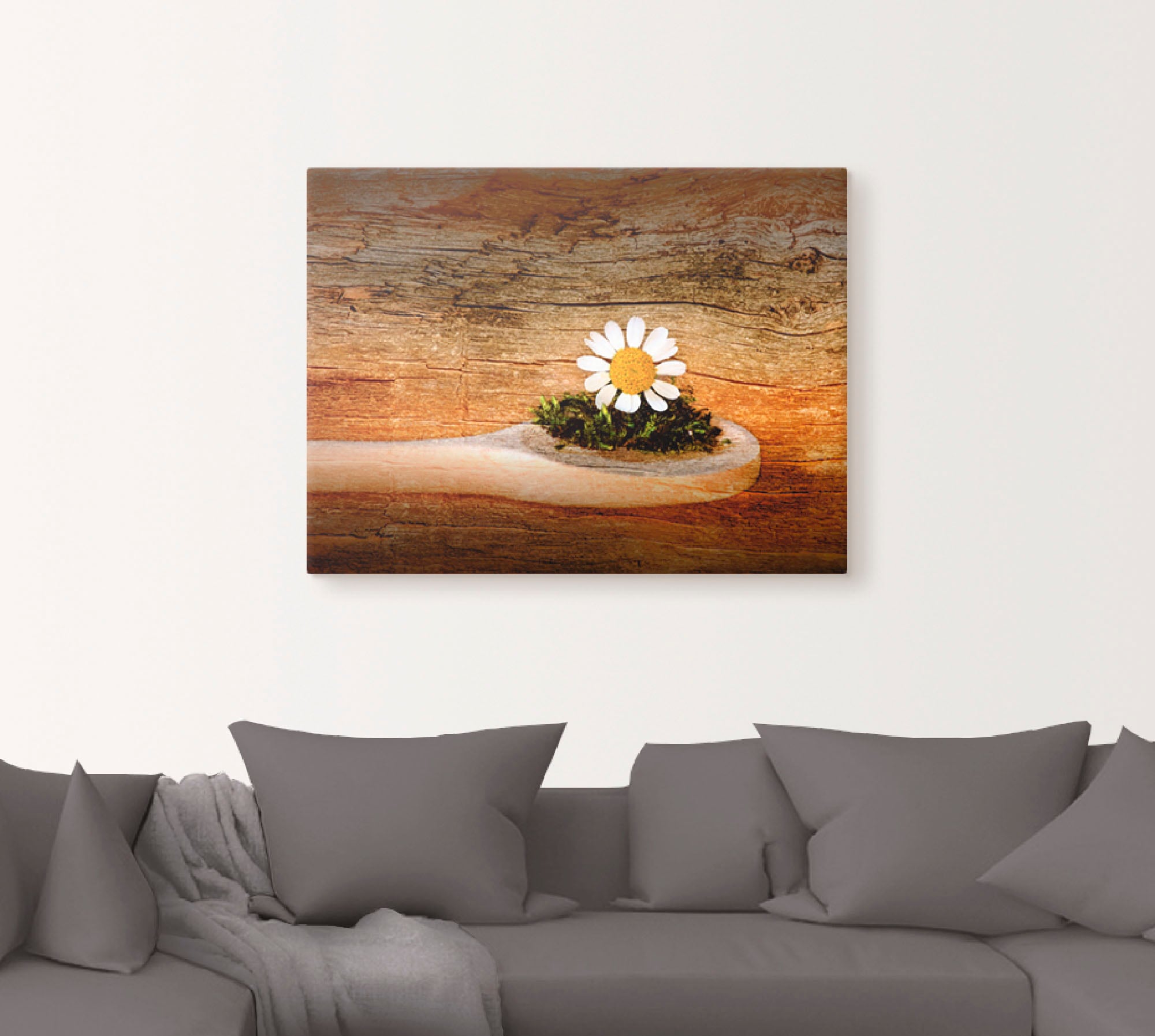 Artland Wandbild "Kamille", Blumen, (1 St.), als Leinwandbild, Wandaufklebe günstig online kaufen