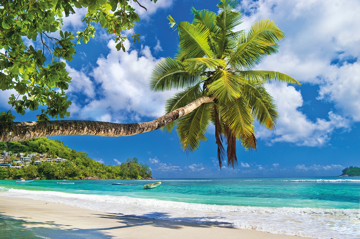 Papermoon Fototapete "Seychelles Palm Beach" glatt