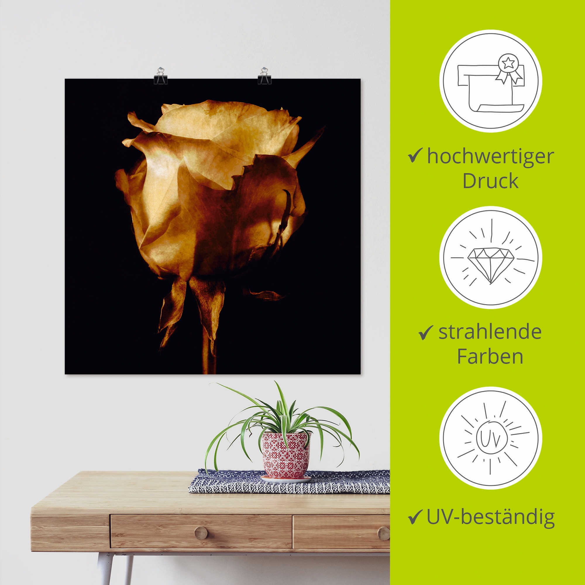 Artland Wandbild »Vergoldete Rose«, Blumen, (1 St.), als Leinwandbild, Poster in verschied. Größen