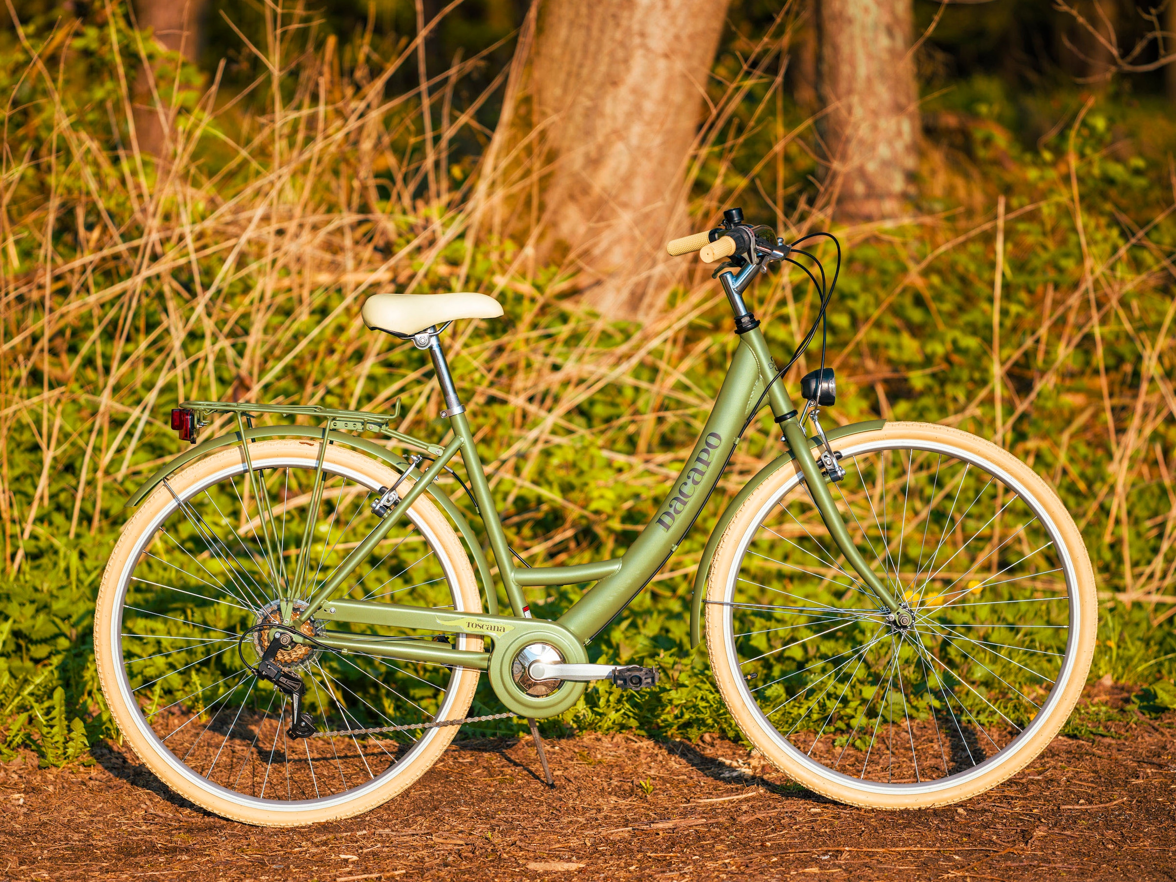 Dacapo Cityrad »Damenfahrrad 28'' Toscana grün Oregano 6 Gänge RH 48 cm«, 6 Gang, Kettenschaltung