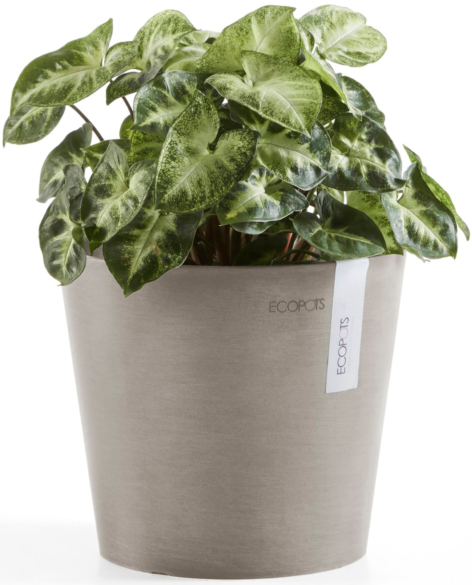ECOPOTS Blumentopf »Amsterdam Mini 17 Taupe«, für den Innenbereich