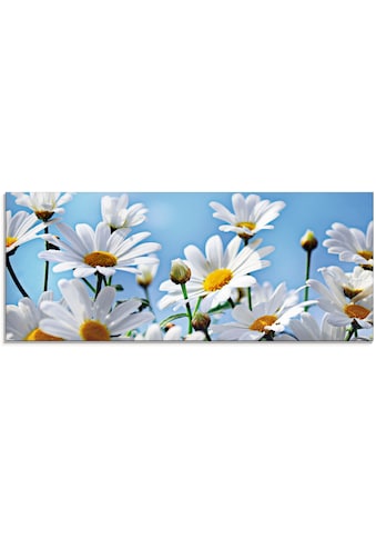 Artland Stiklinis paveikslas »Blumen - Margeri...