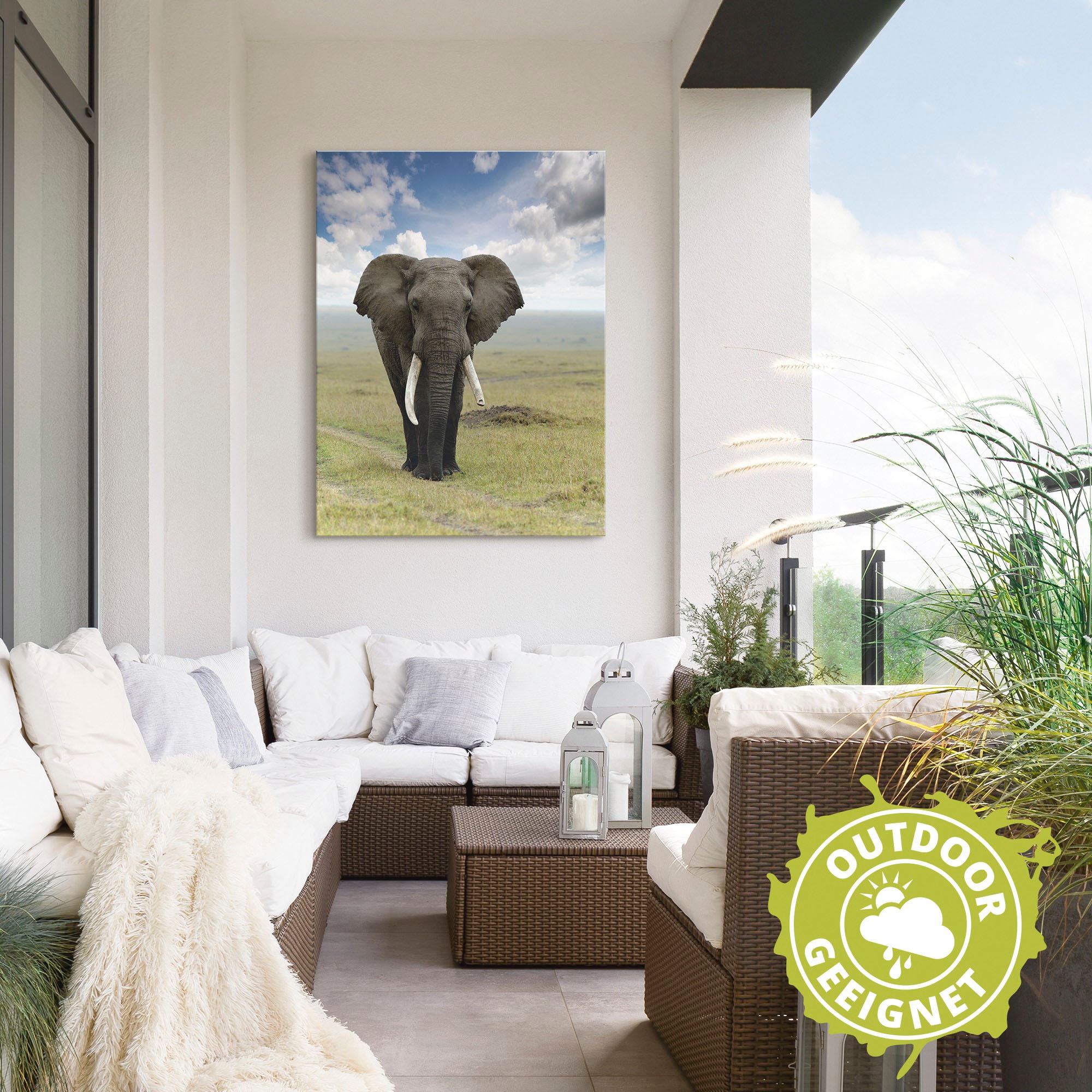Artland Wandbild »Elefant« Wildtiere 1 Stk. tlg. als Alubild, Outdoorbild, Leinwandbild, Poster in verschied. Größen