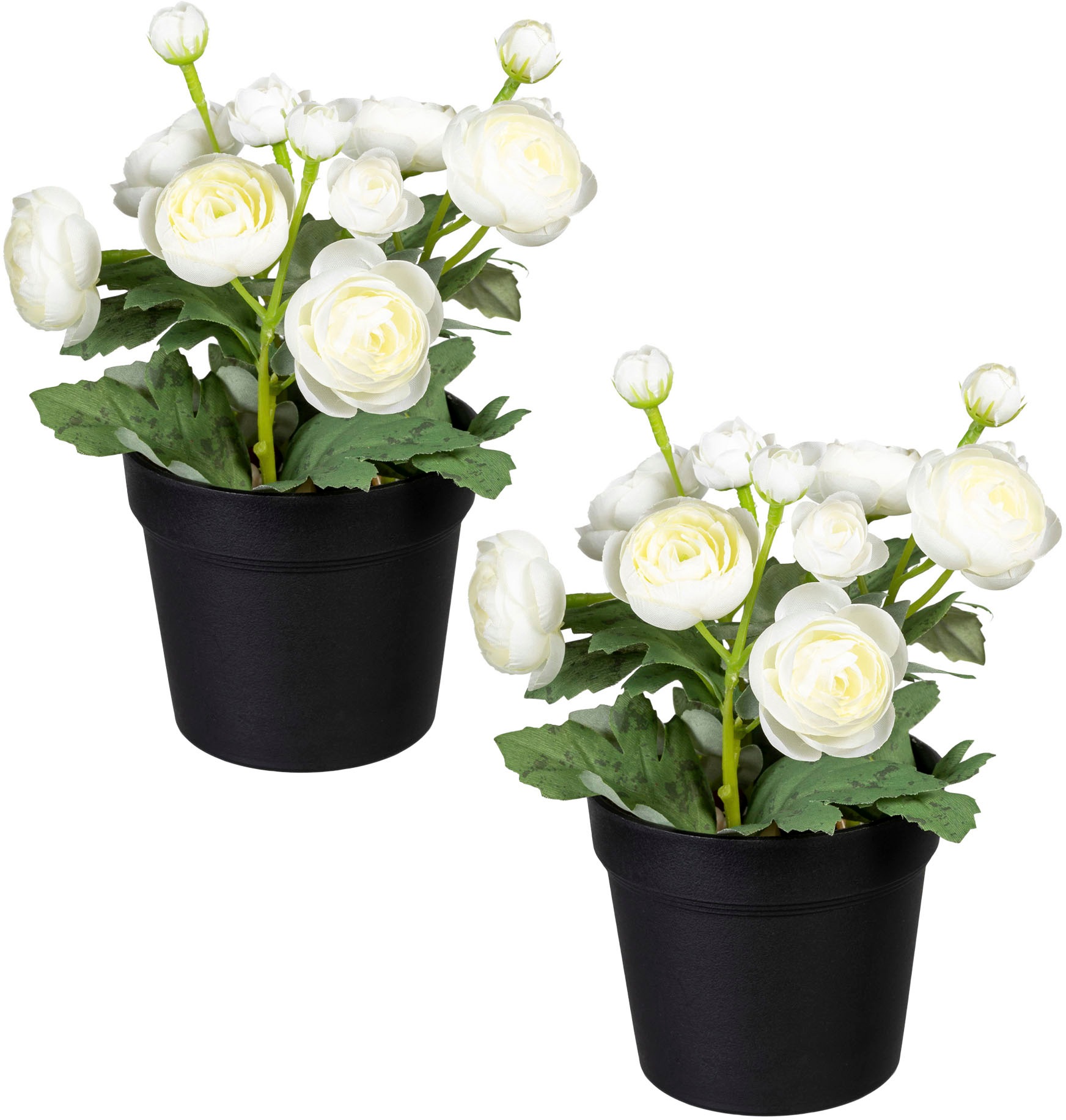 Creativ green Kunstpflanze »Ranunkel«, (2 St.), im 2er Set kaufen