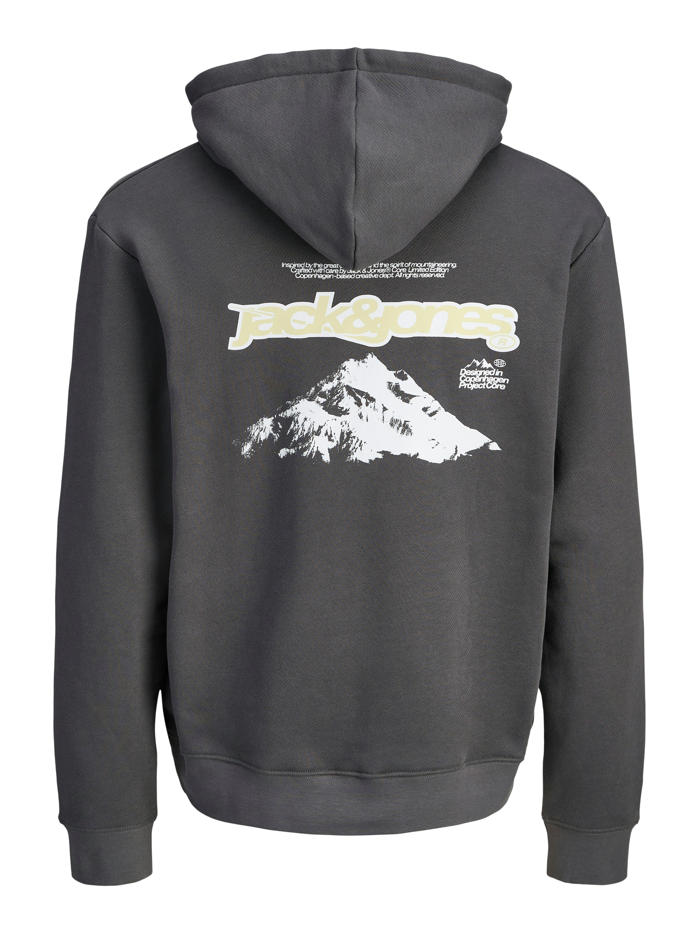 Jack & Jones Kapuzensweatshirt "JCOFLARE BACK PHOTO PRINT SWEAT HOOD" günstig online kaufen