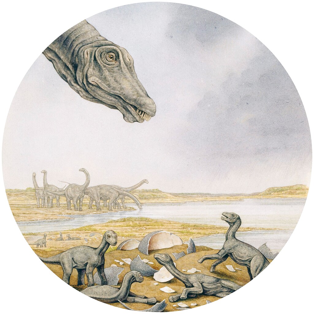 Komar Fototapete »Young Titanosaurs«, bedruckt-Comic-Retro-mehrfarbig