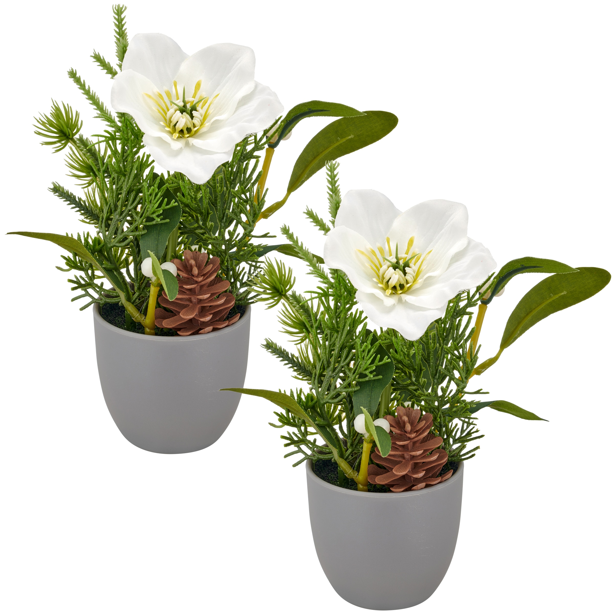 Creativ green Winterliche Kunstpflanze "Arrangement mit Christrose" mit Tan günstig online kaufen