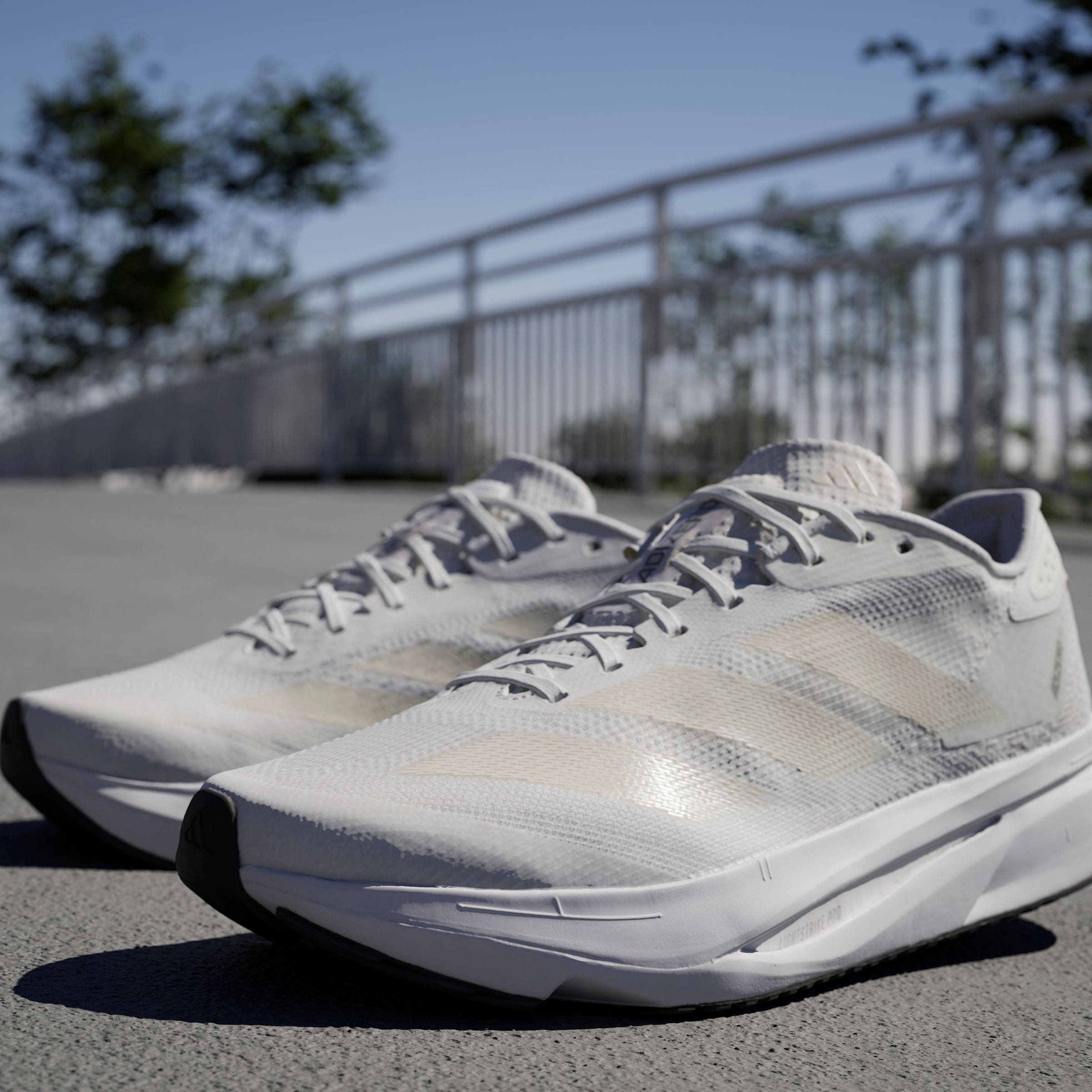 adidas Performance Laufschuh »ADIZERO SL2«