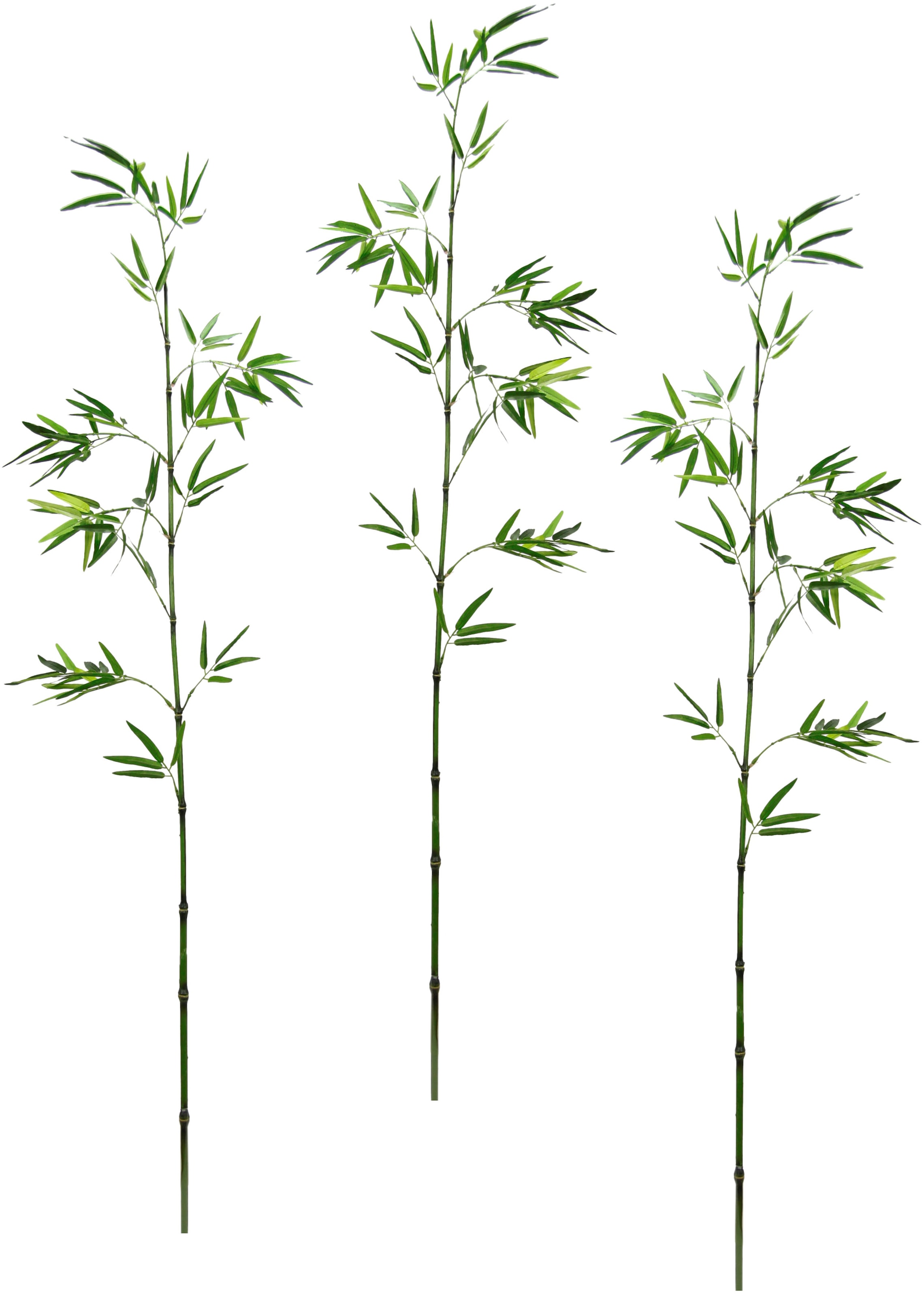 BAUR 3er Dekozweig, | »Bambuszweig«, I.GE.A. groß Kunstpflanze Set bestellen