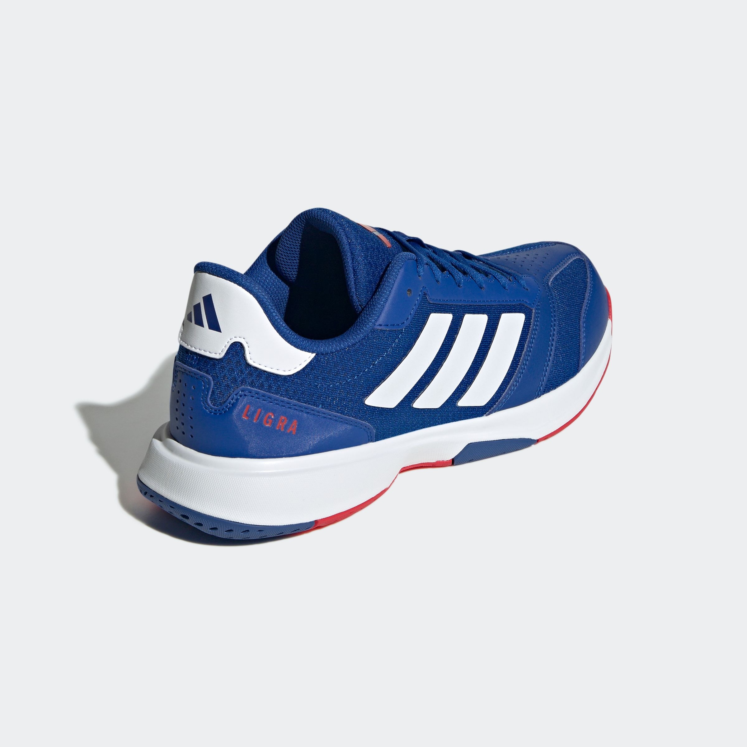 adidas Performance Hallenschuh »LIGRA 8 INDOOR«