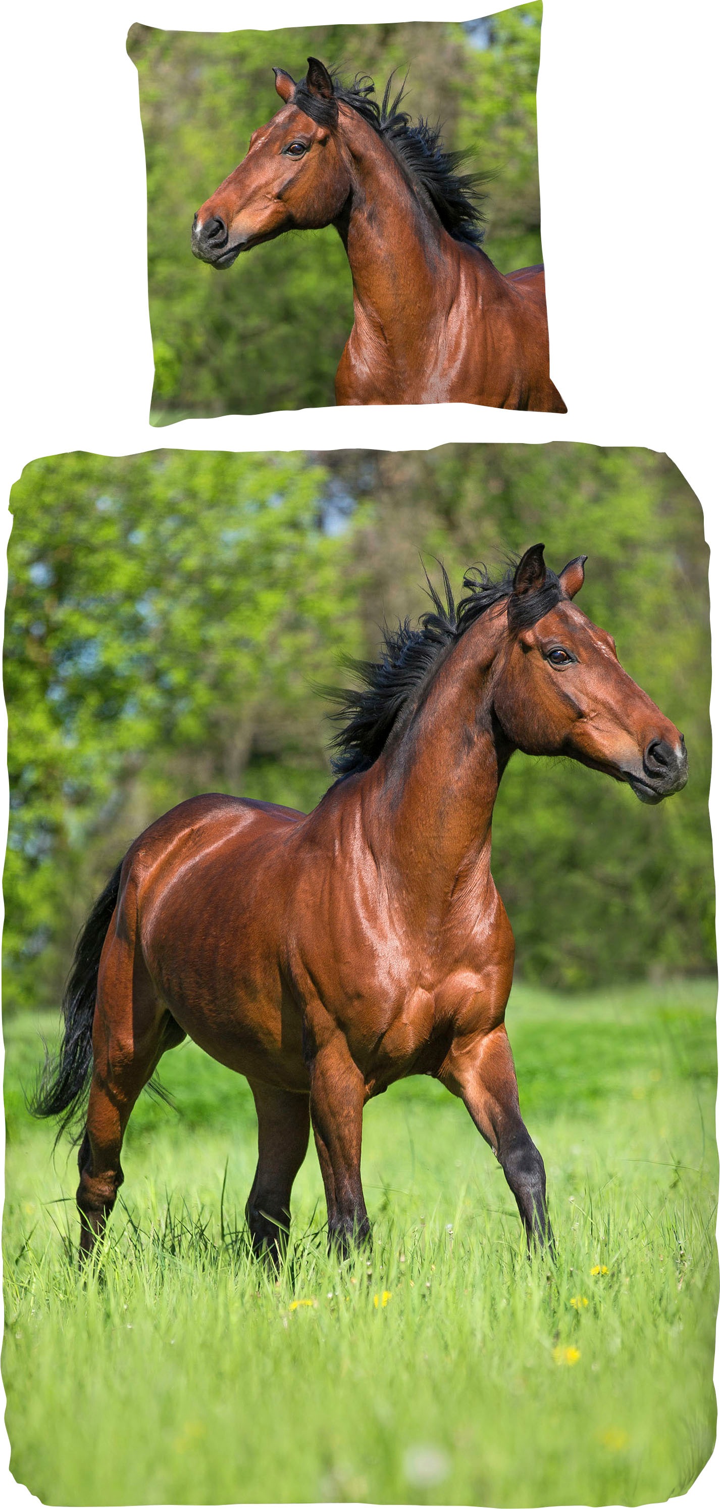 good morning Kinderbettwäsche "Running horse" 2 Stk. tlg. Baumwolle, 135x20 günstig online kaufen