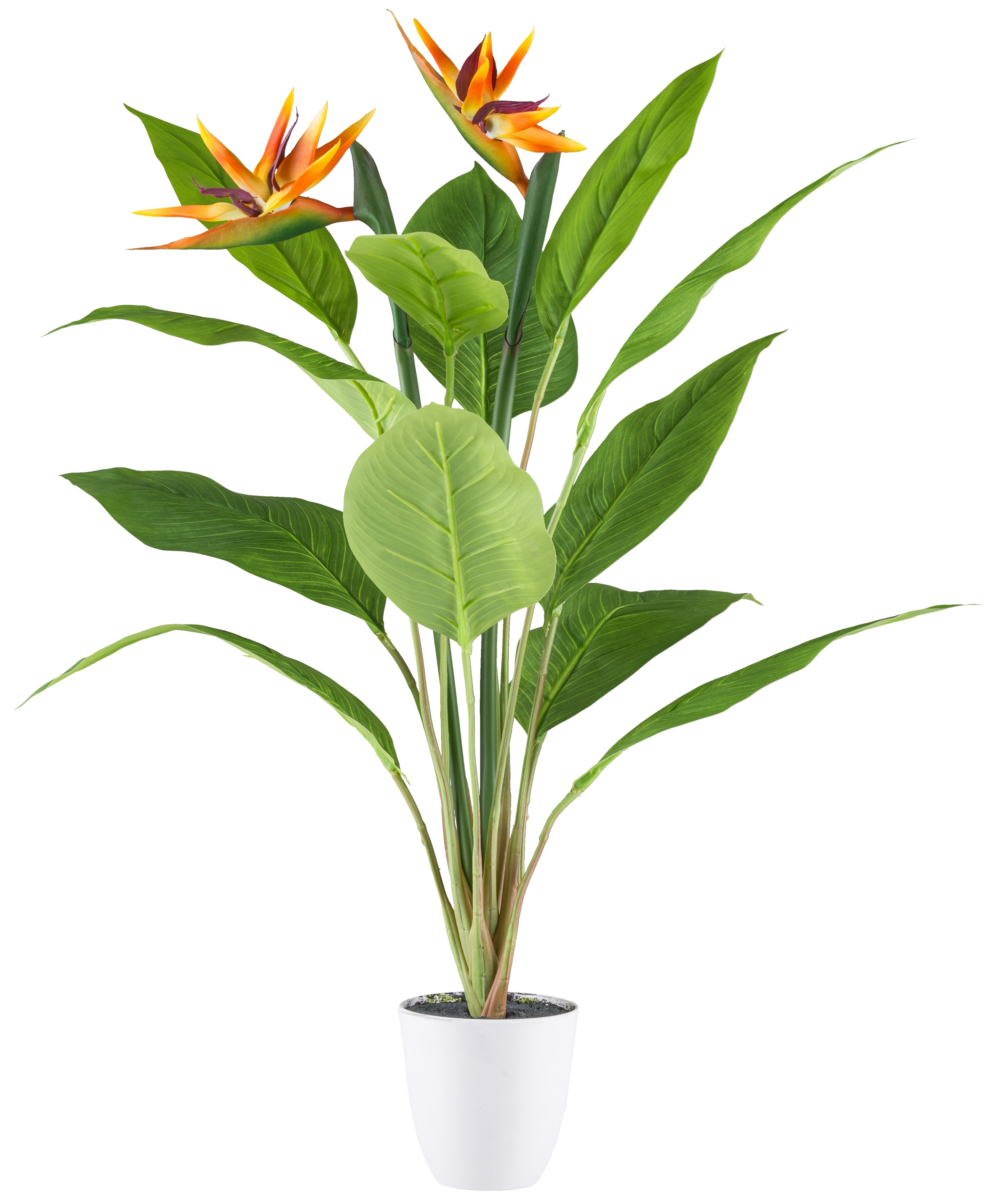 Creativ green Kunstpflanze "Strelitzia", mit 2 Blüten