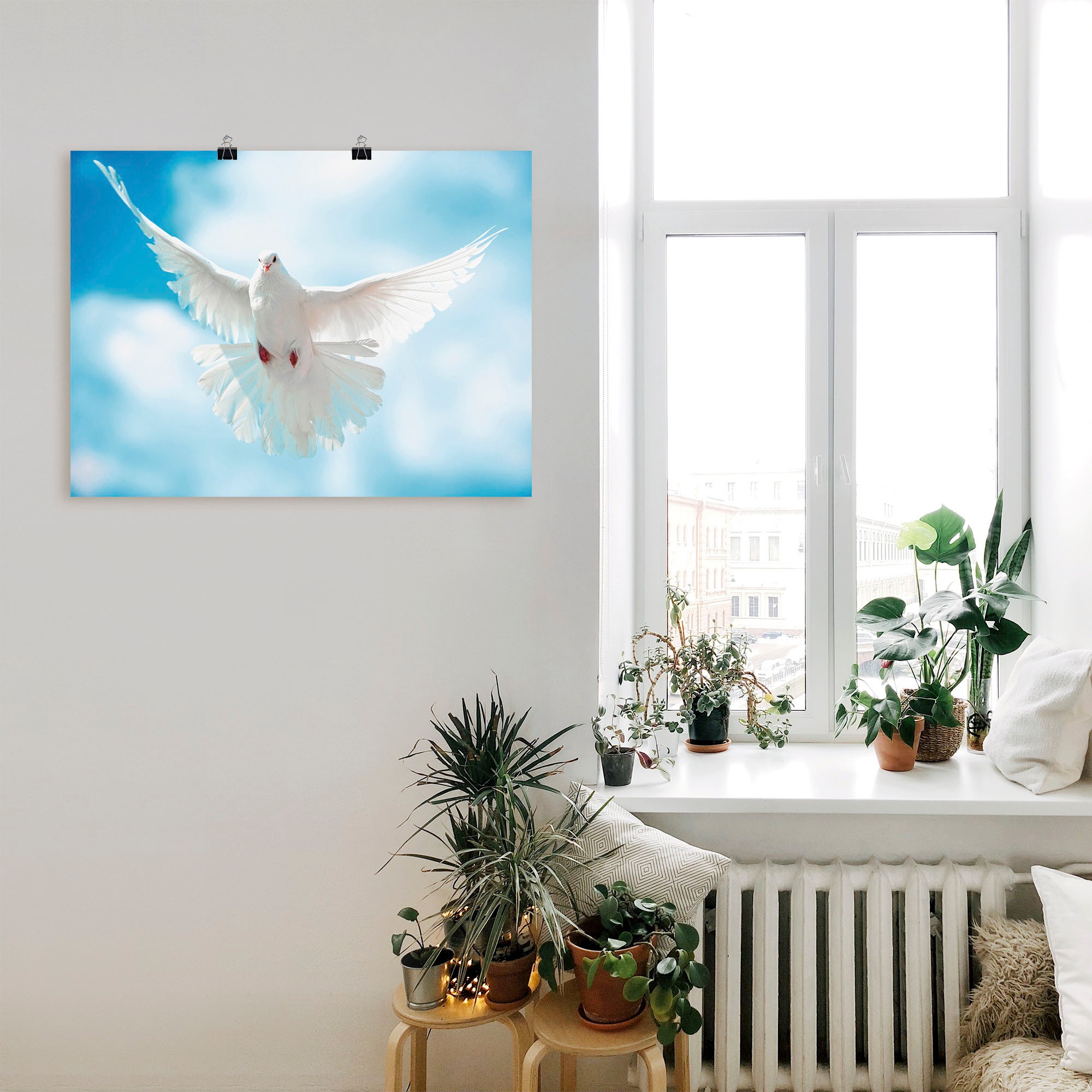 Artland Wandbild "Taube mit ausgebreiteten Flügeln", Vögel, (1 St.), als Al günstig online kaufen